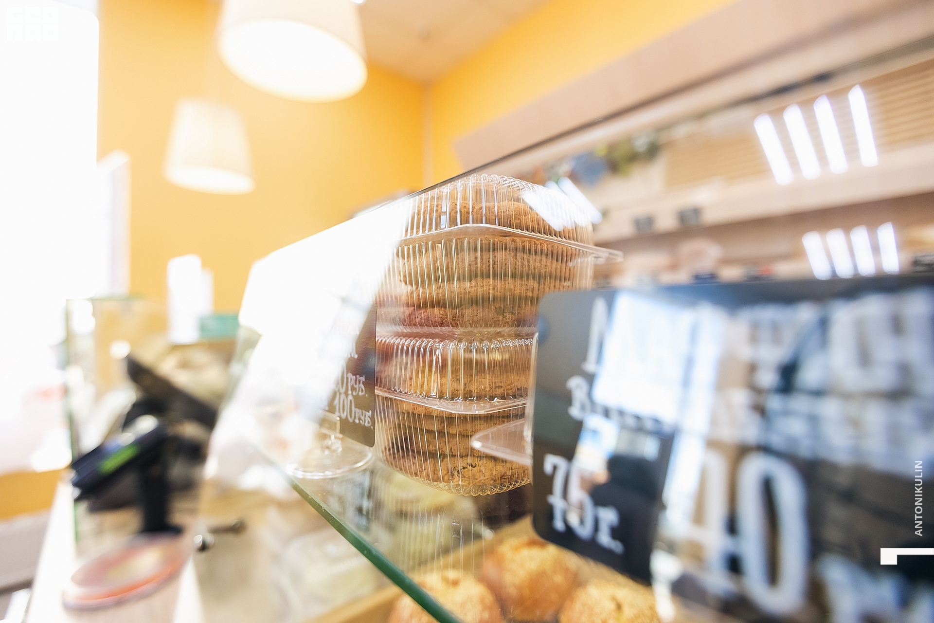 untitled shoot-9866.jpg