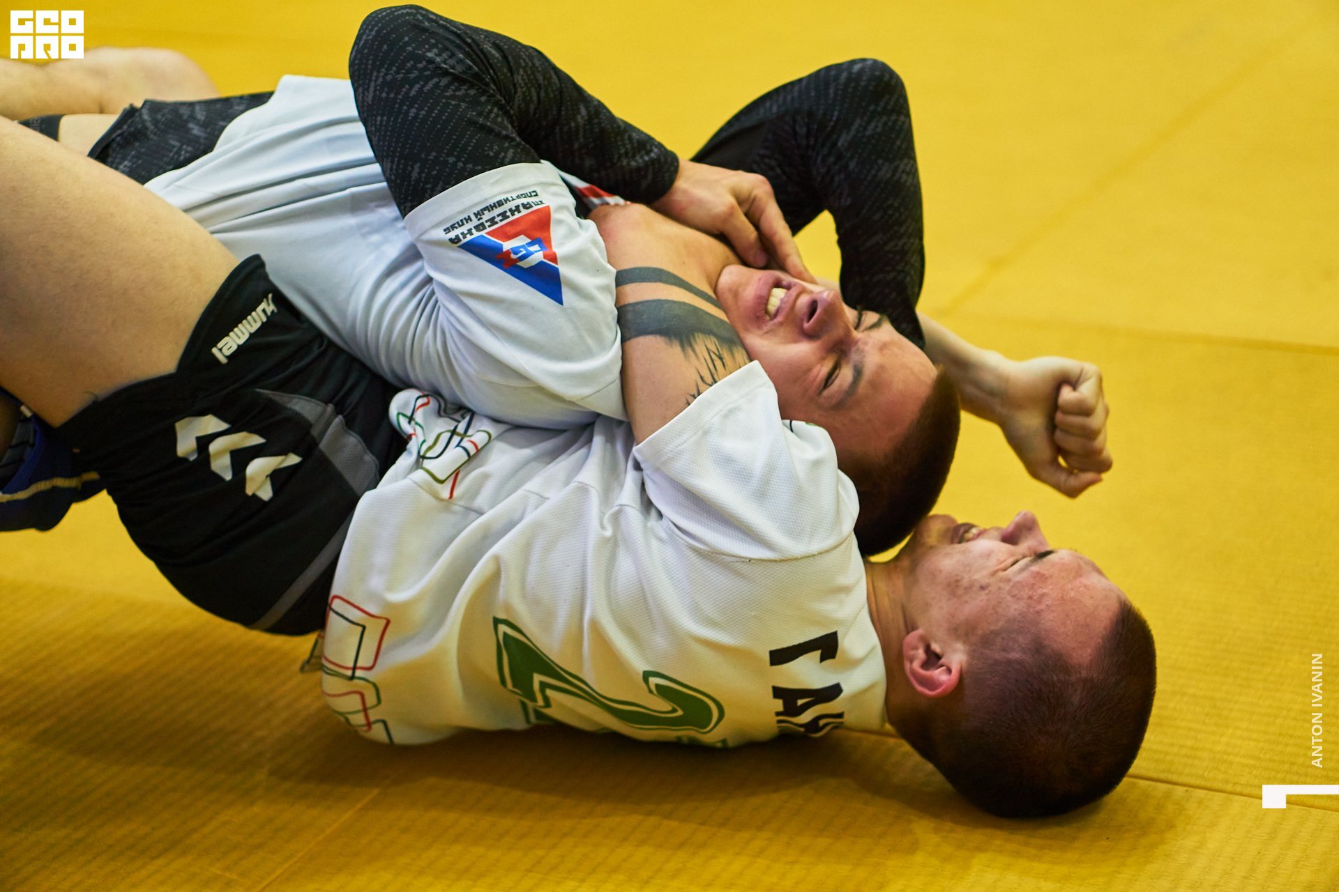 DSC09060 (Копировать).jpg