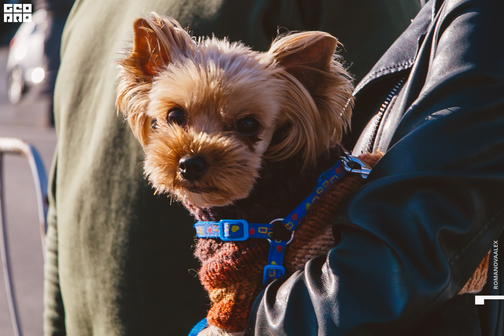 050 210905  175306 _ale_romanova.jpg