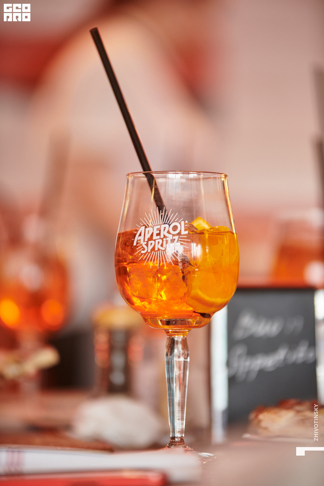 098_19-03-22_4-42 _Zhivotinsky.jpg