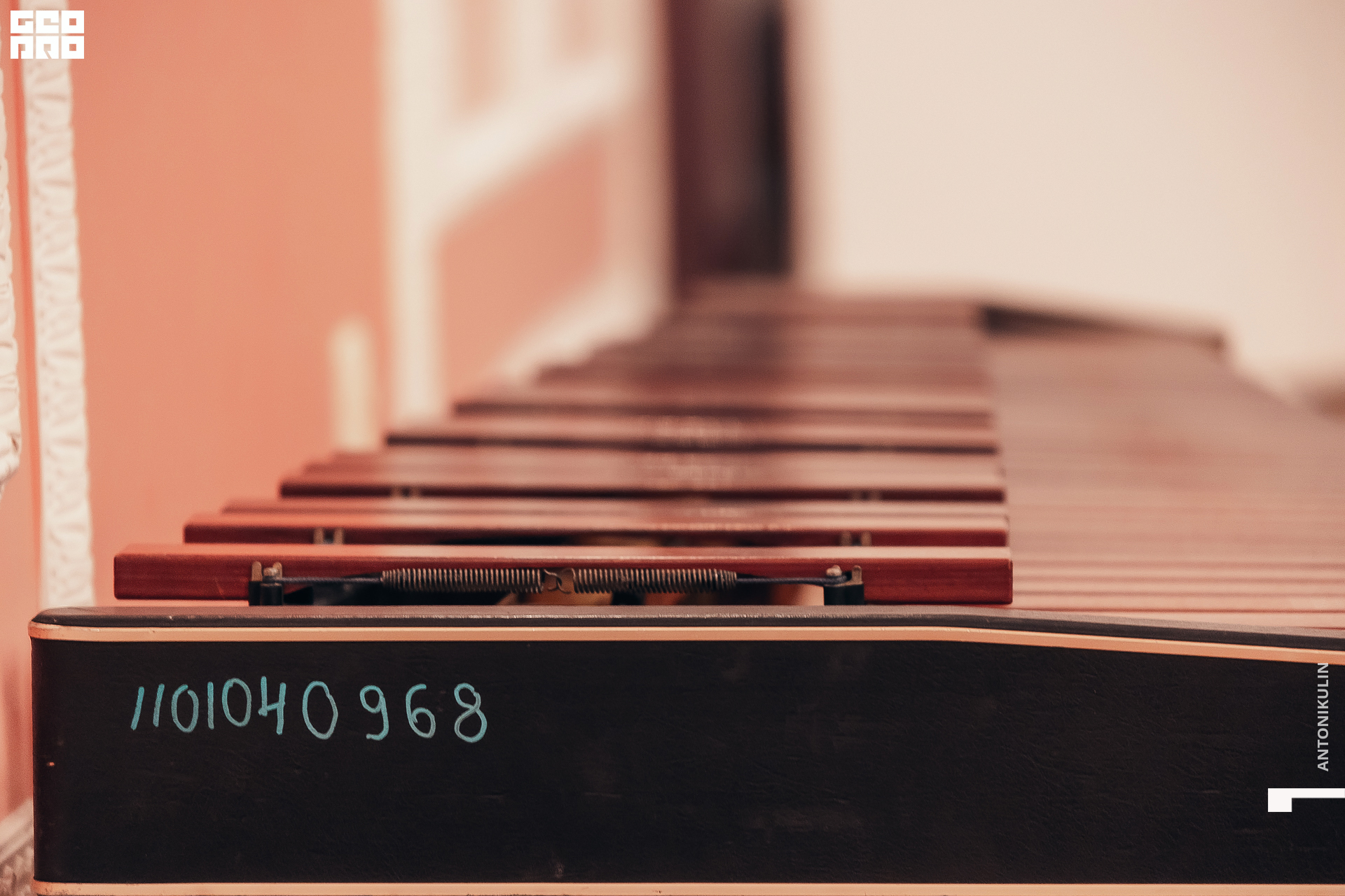 untitled shoot-0989.jpg