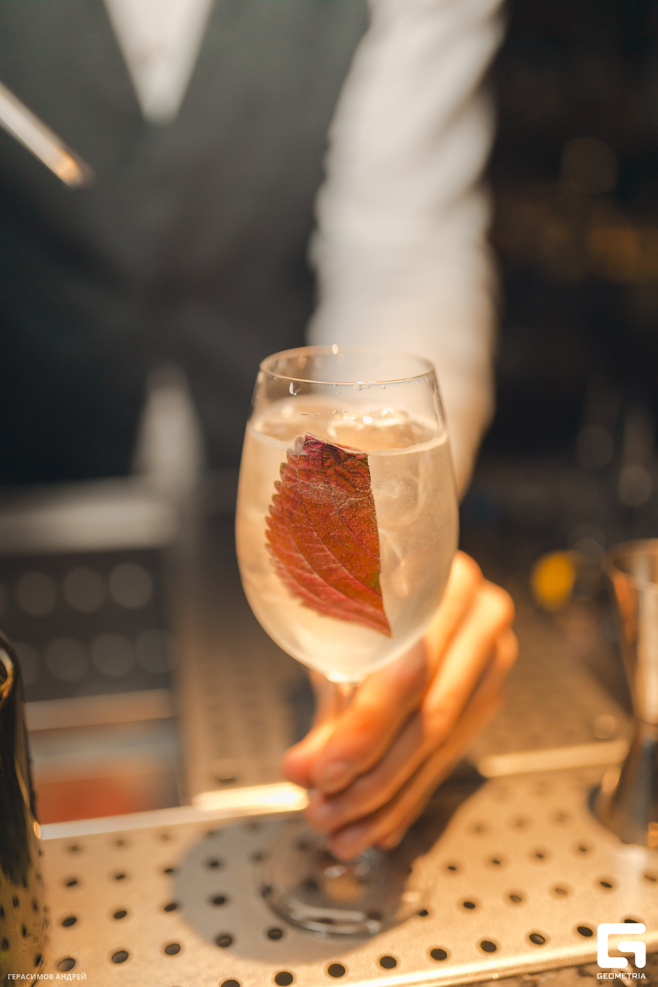 100 Bloom 12. 01.jpg