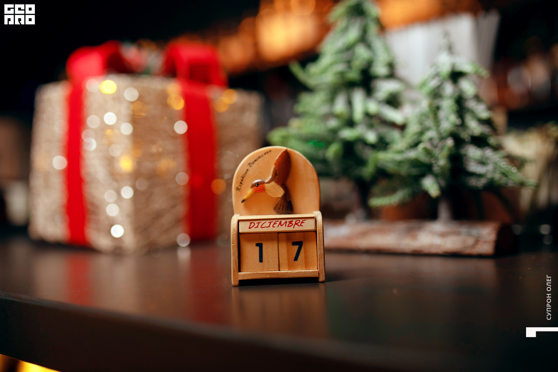 0N5A2066 копия.jpg