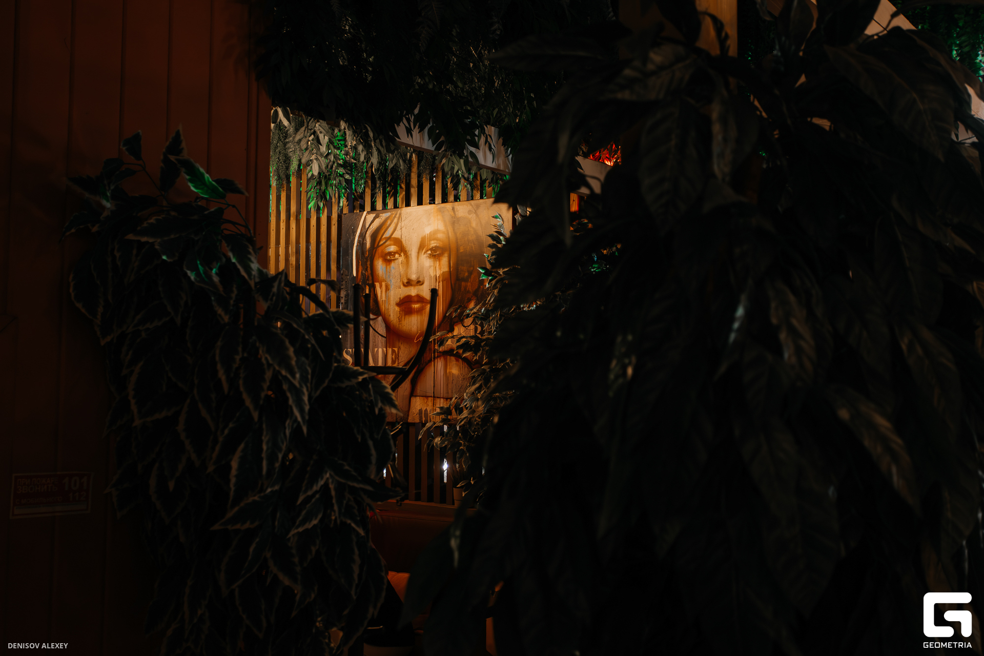 P18A4207-Улучшено-Ум. шума.jpg