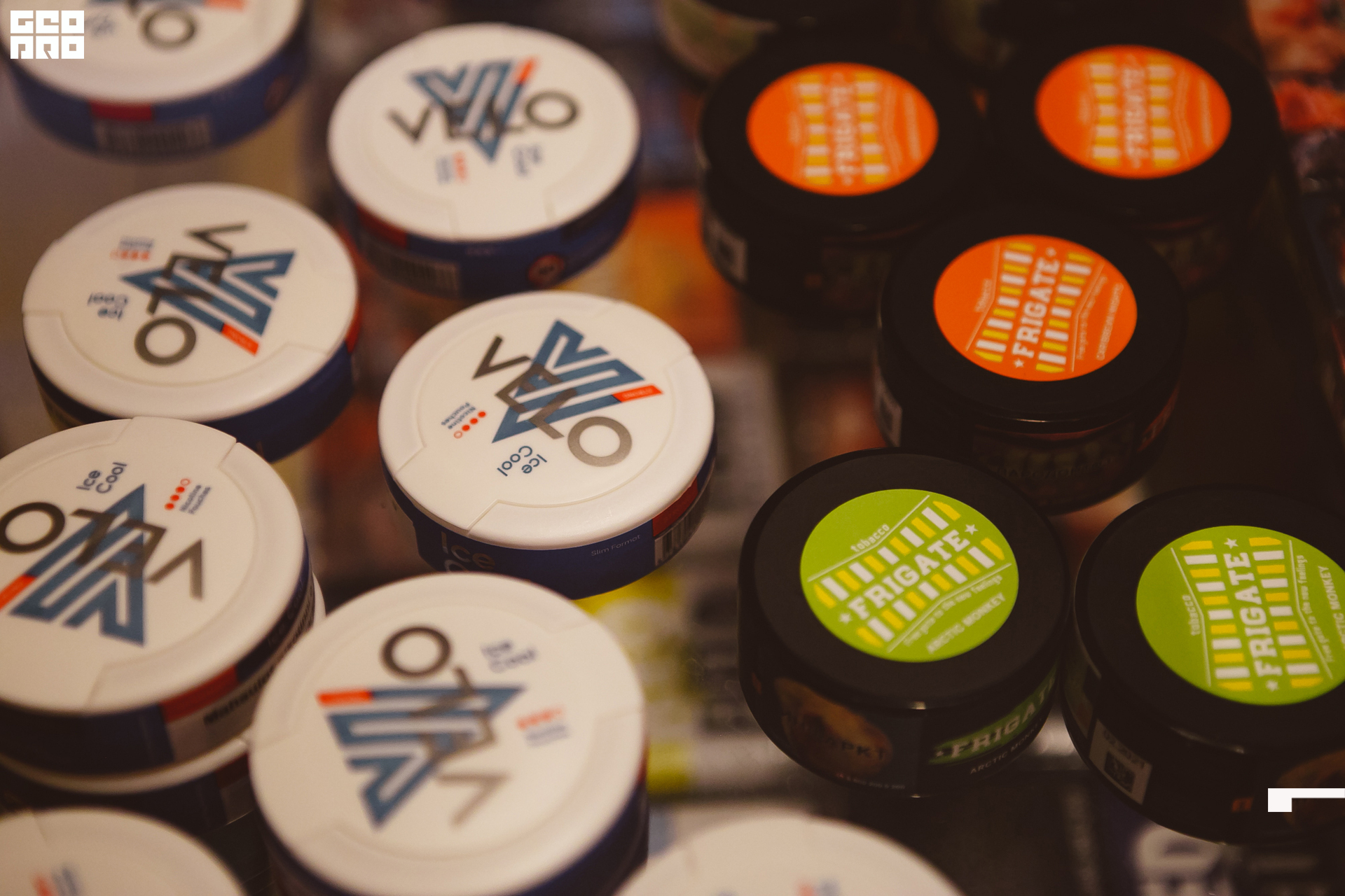 100 211010  204002 _ale_romanova.jpg