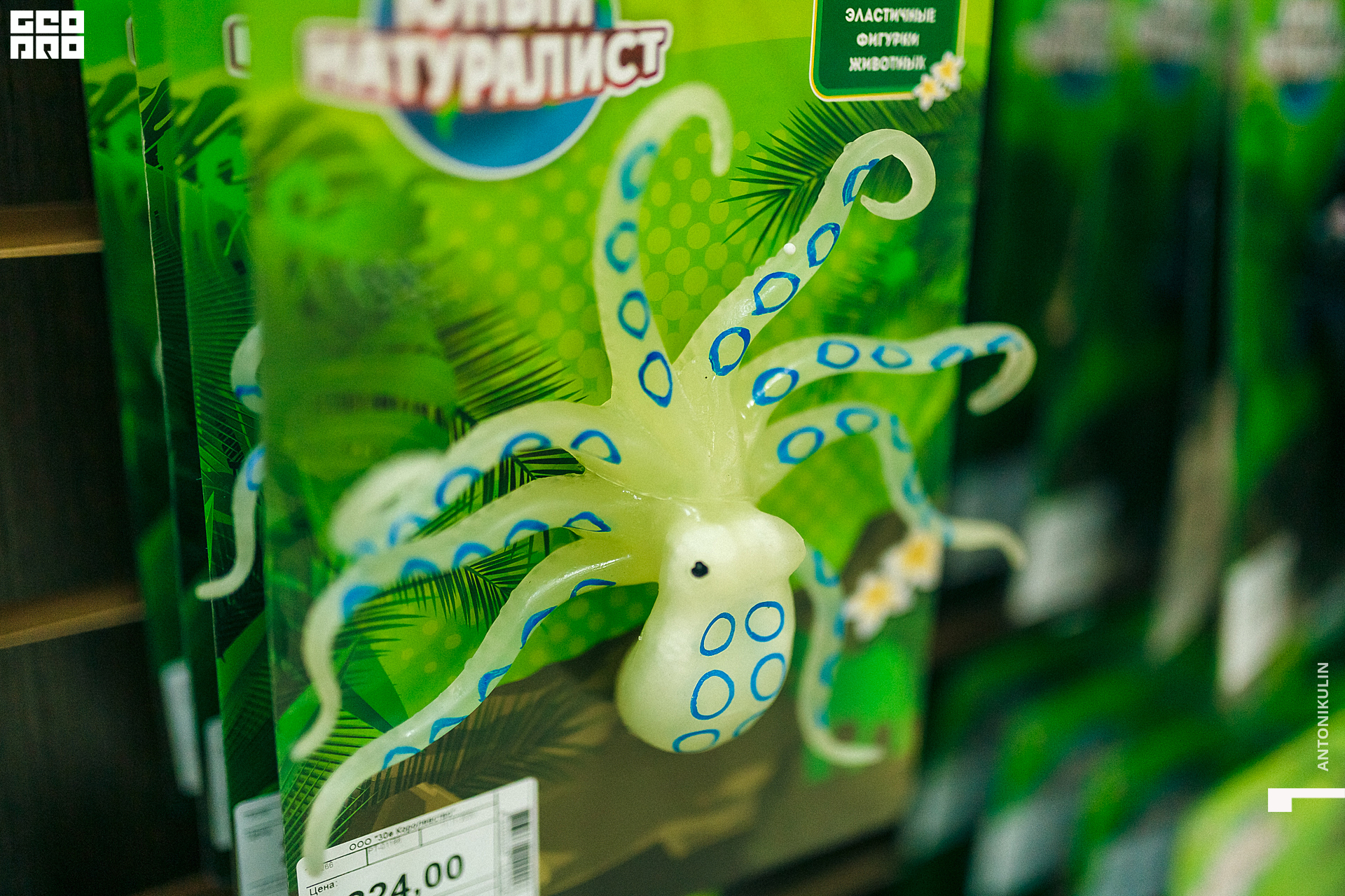 untitled shoot-6522.jpg