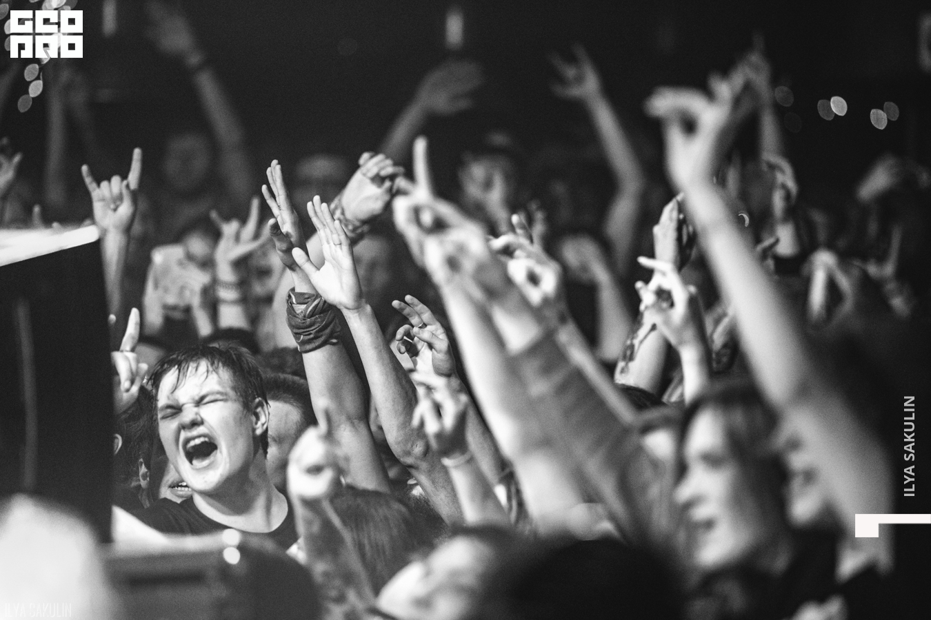 anacondaz (116 of 159).JPG