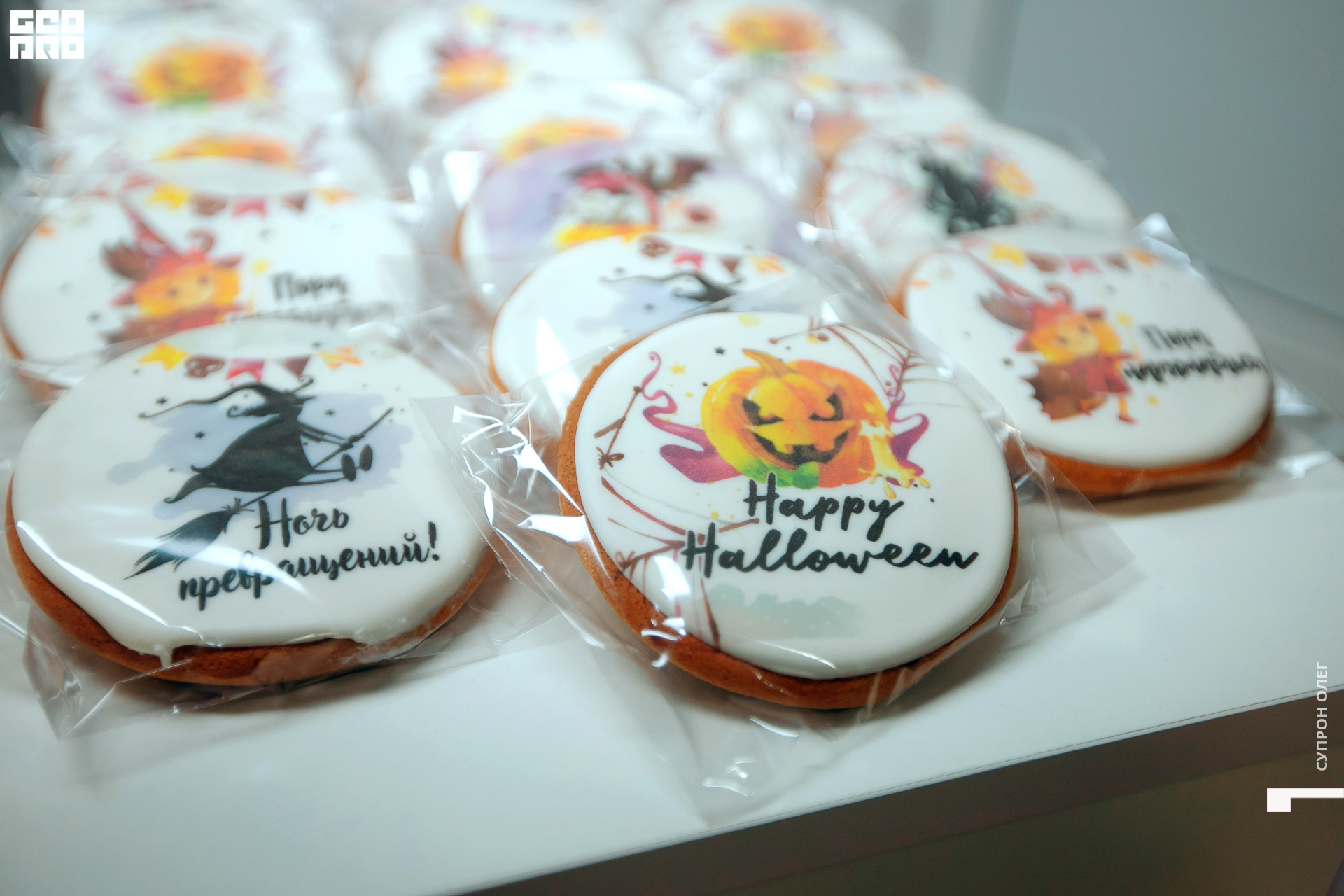 IMG_0004 копия.jpg