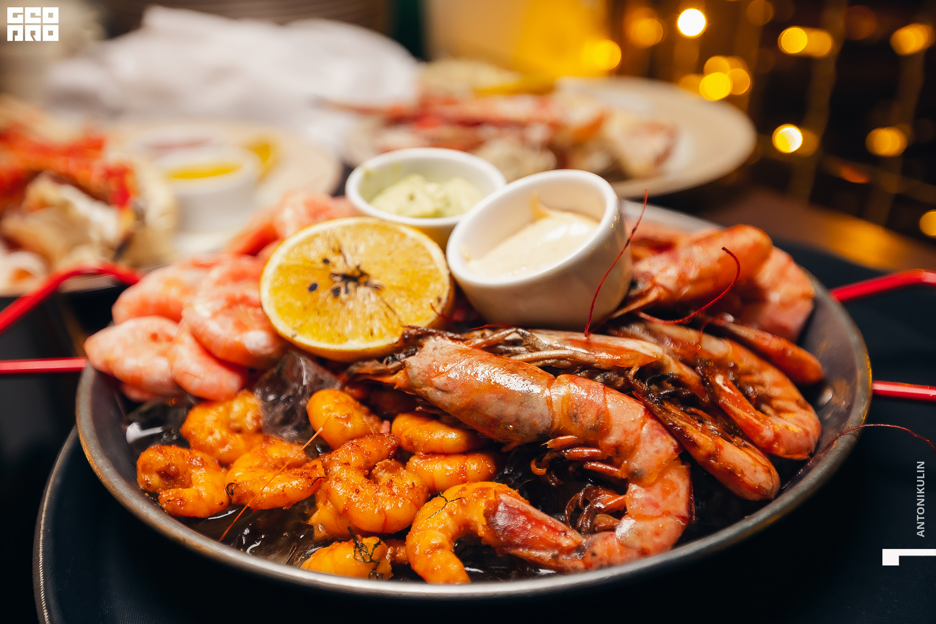 untitled shoot-5181.jpg