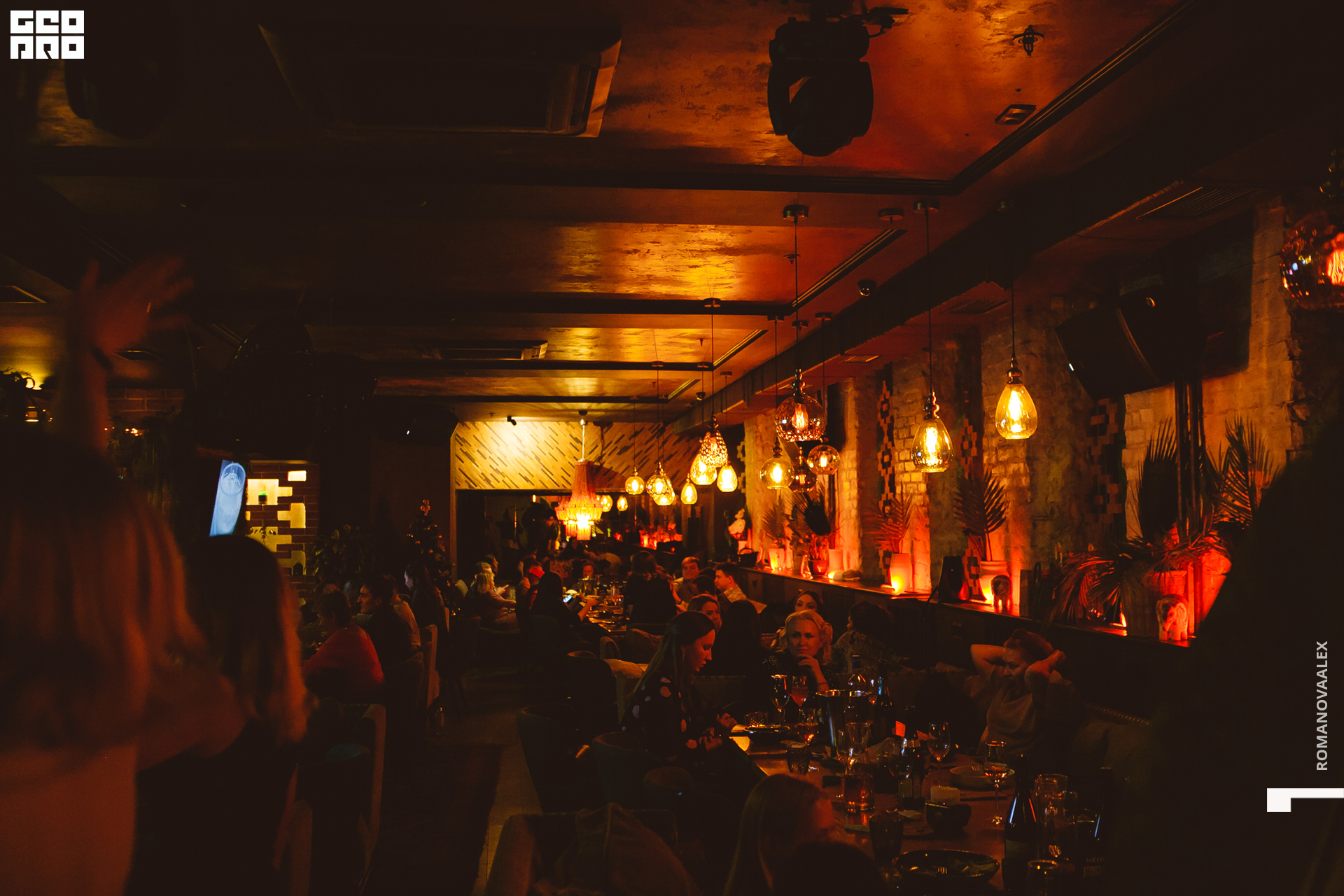 045  ale_romanova.jpg