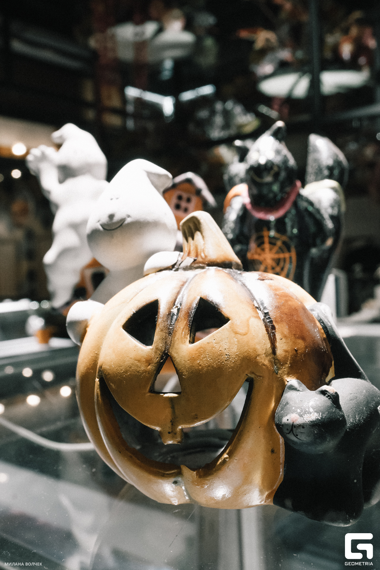 026_20231028 Волчек.jpg