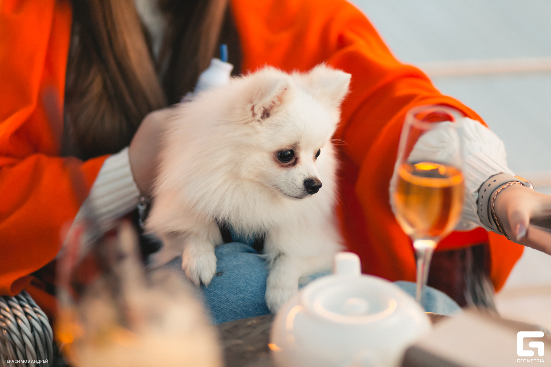 052 Rapana music 4.11.jpg