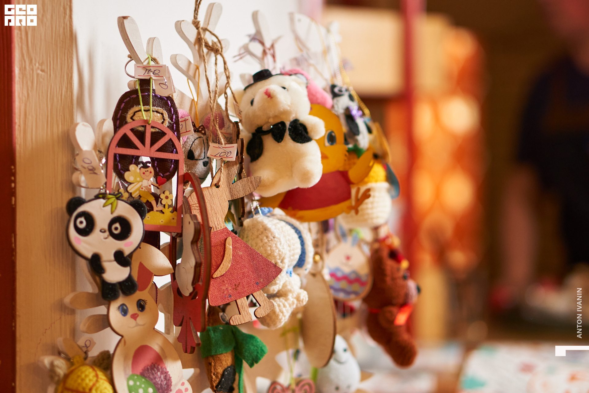 DSC08523 (Копировать).jpg