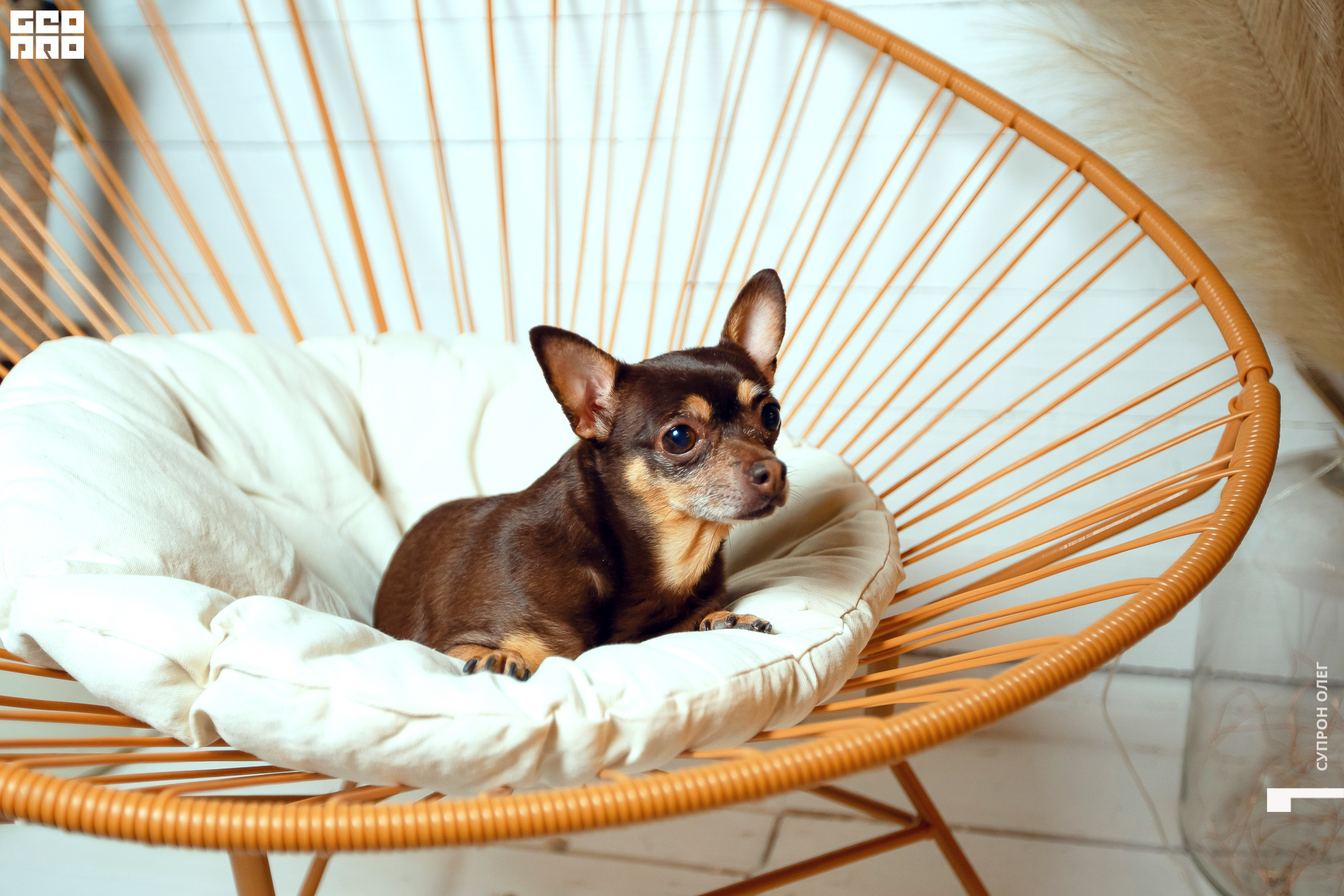 IMG_0589 копия.jpg