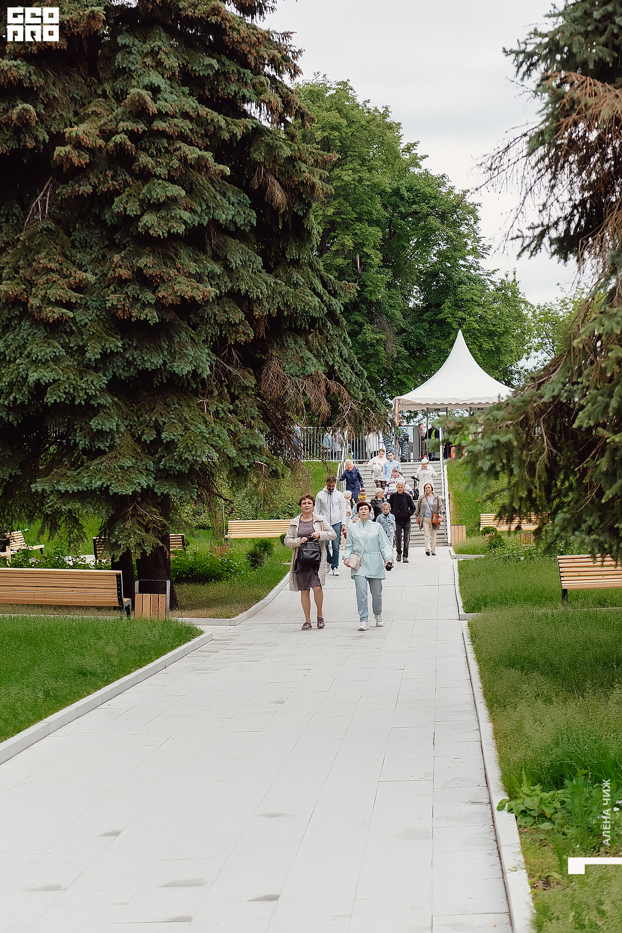 Симфонический концерт в «Ракушке» 20