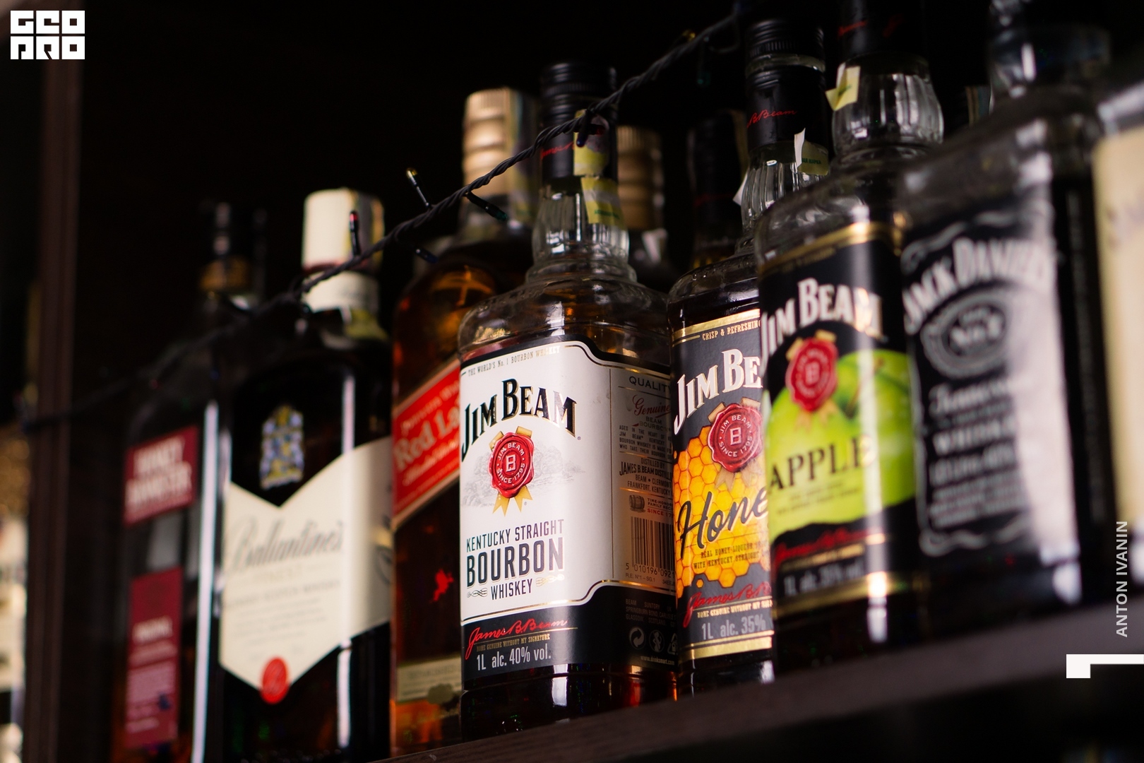 DSC08131 (Копировать).jpg