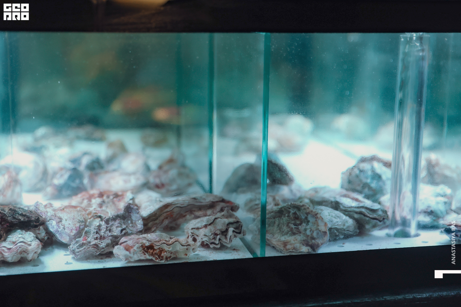 Про Вино-830.jpg