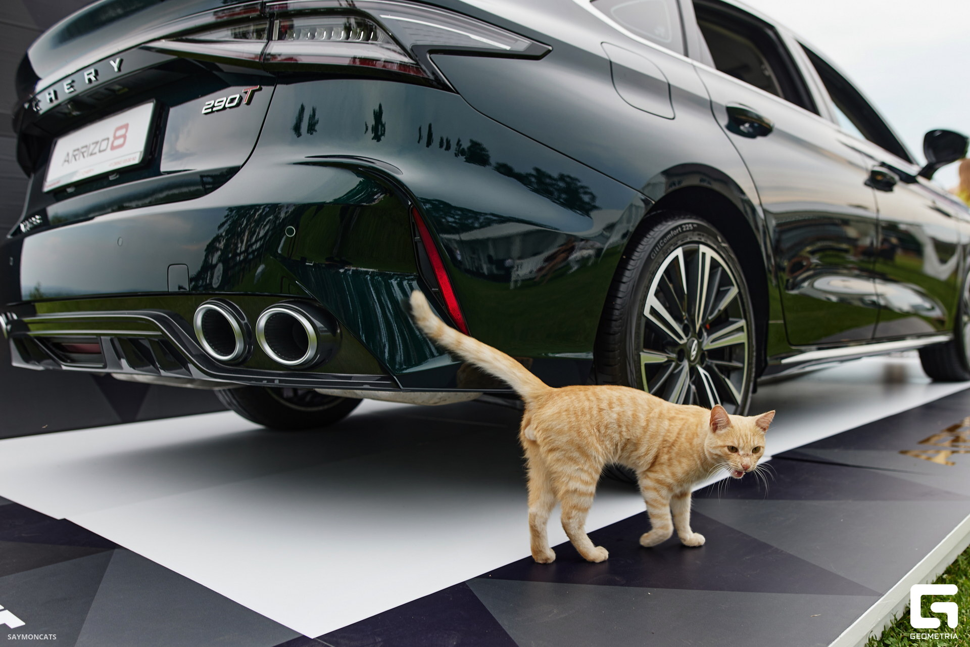 1N1A3463_новый размер.jpg