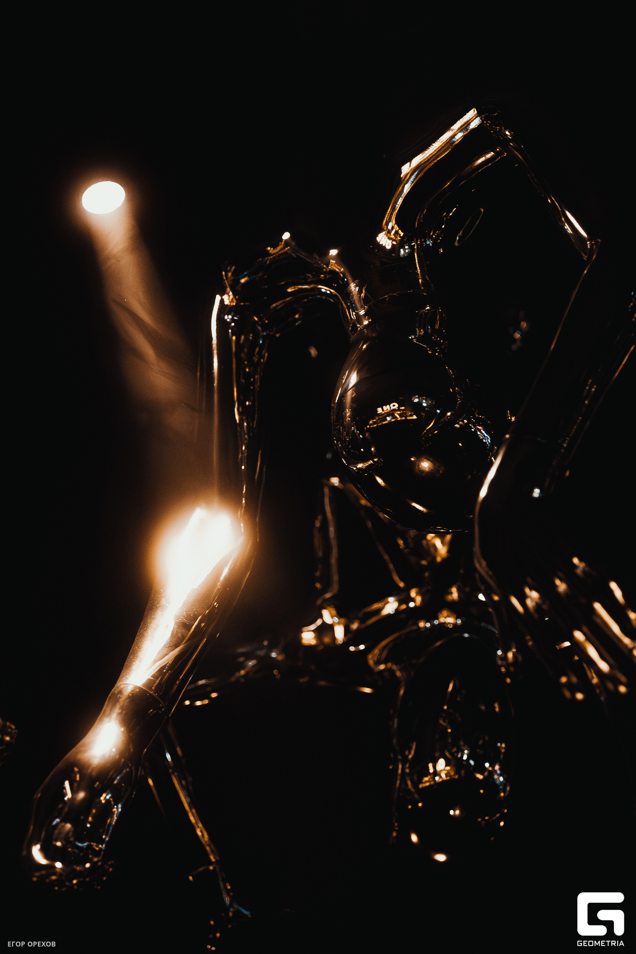 DSC08309-Улучшено-Ум. шума.jpg