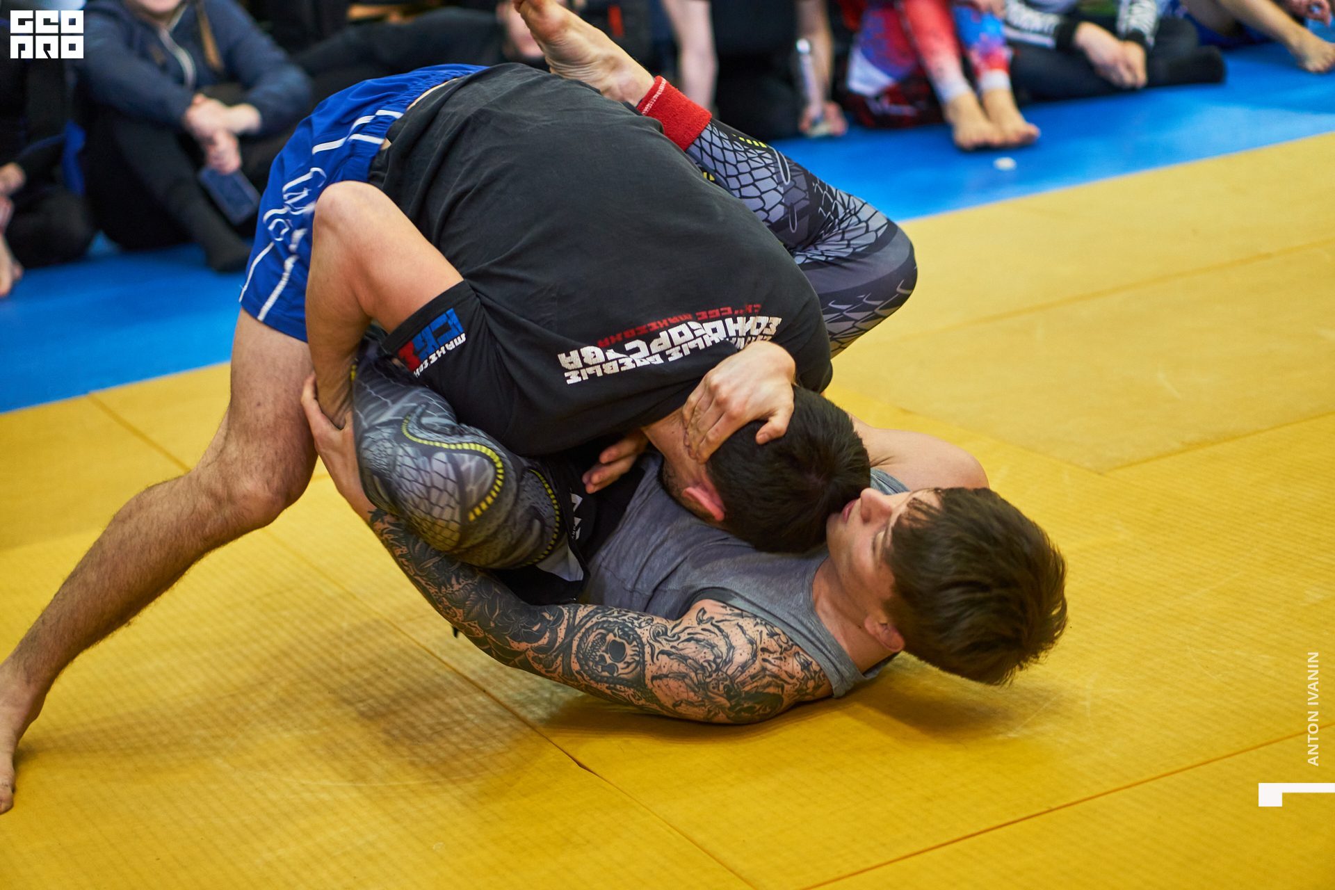 DSC09431 (Копировать).jpg