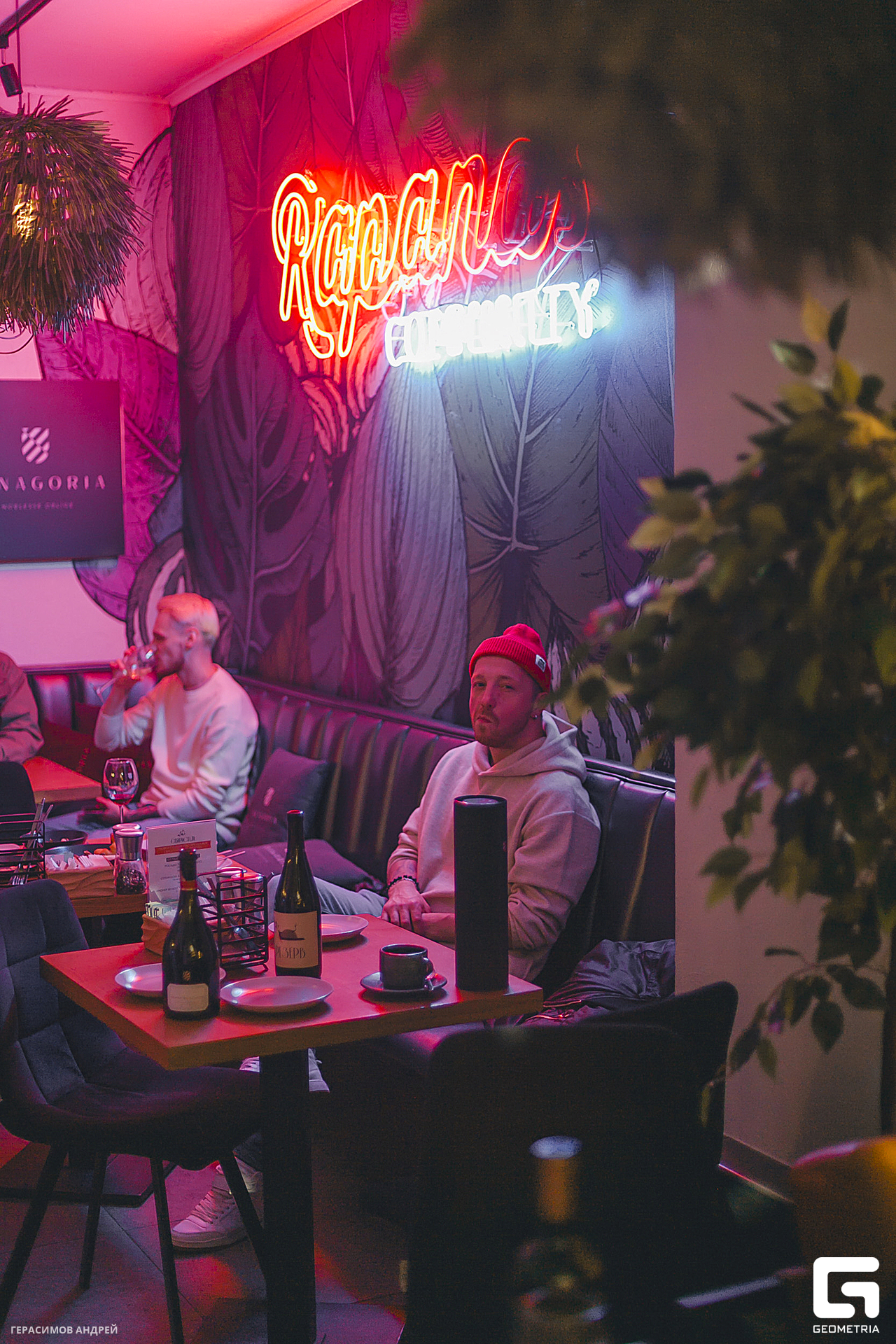 026 Свиристели 17. 02.jpg