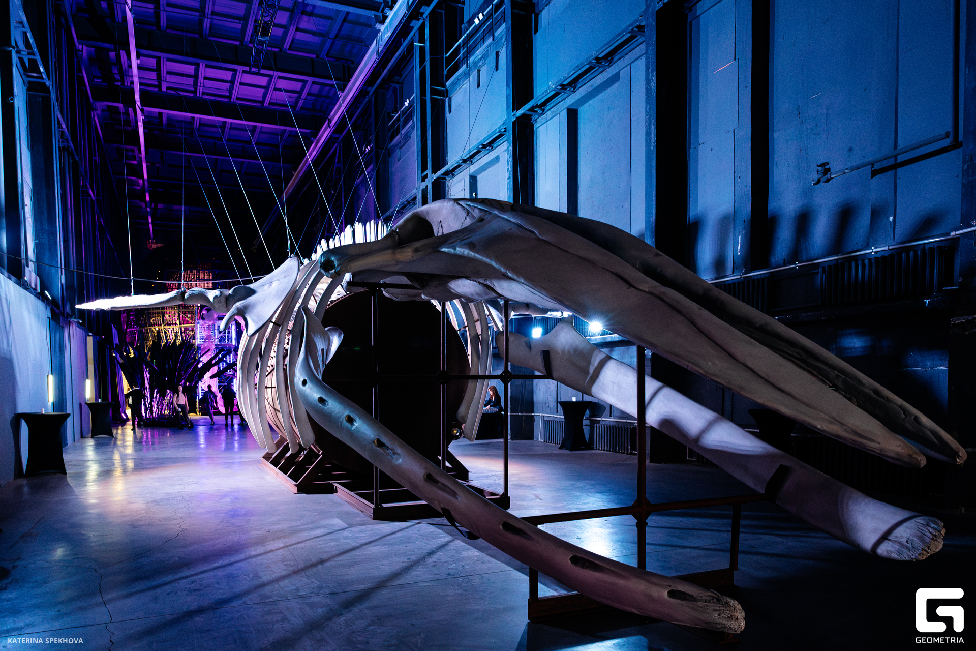 0J2A2653-Улучшено-Ум. шума.jpg