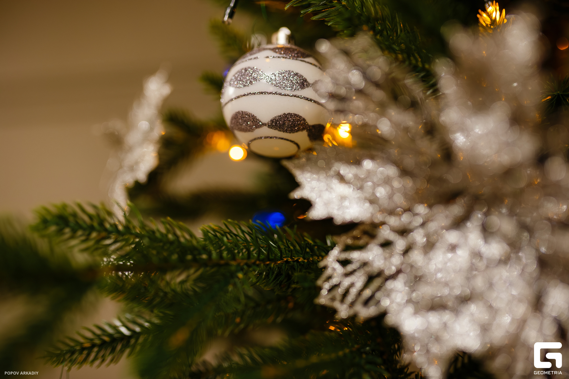 IMG_1030-Улучшено-Ум. шума.jpg