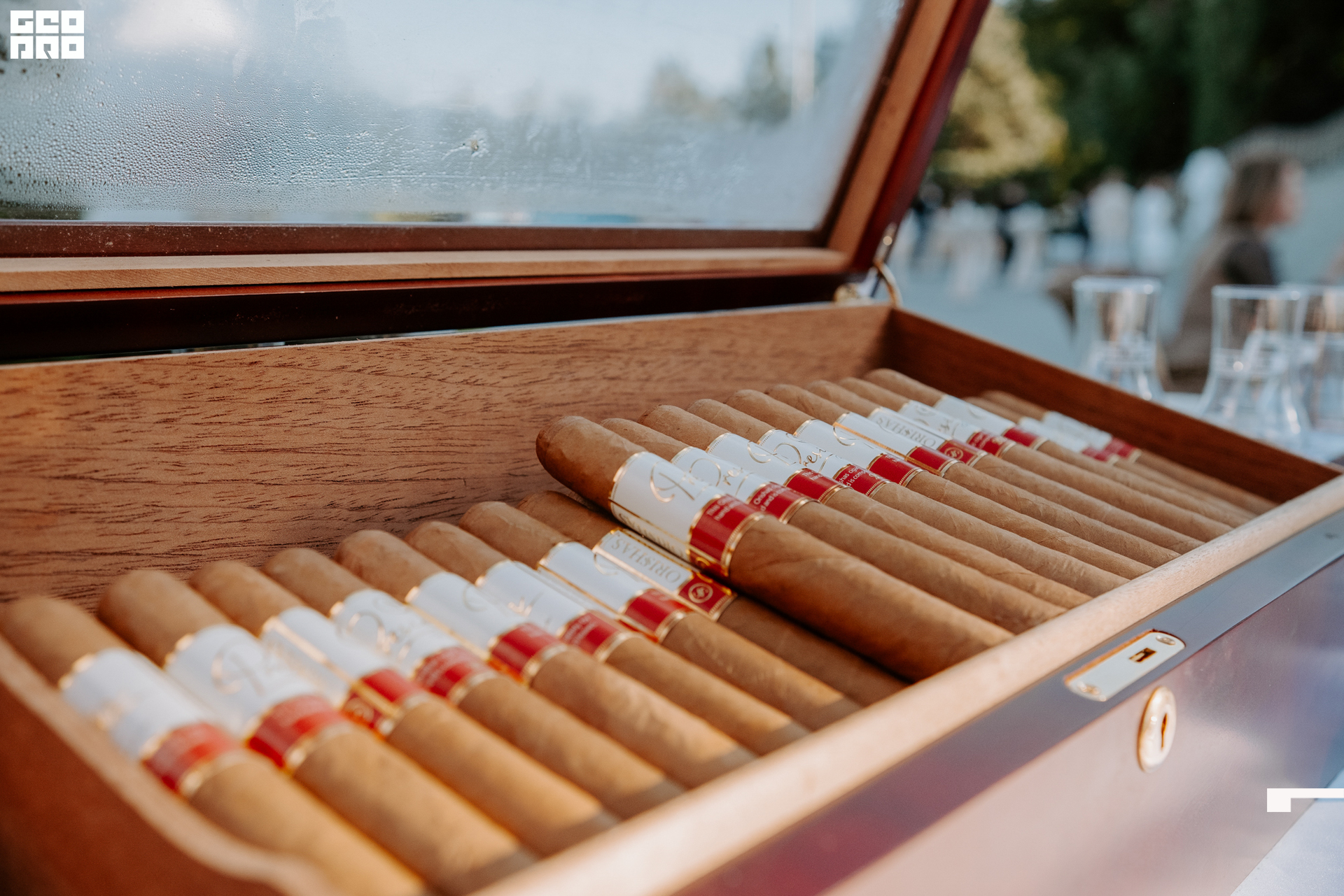 220818 Кочубей 067.jpg