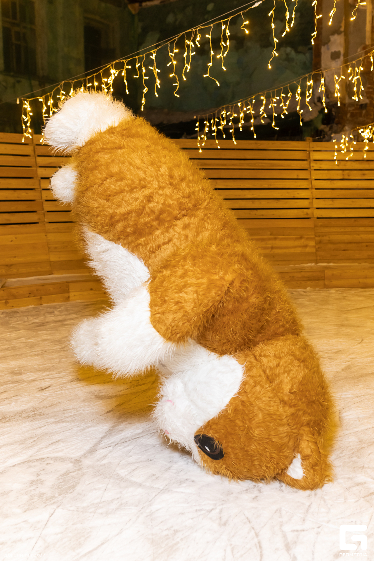 2023.12.27 Каток 065.jpg