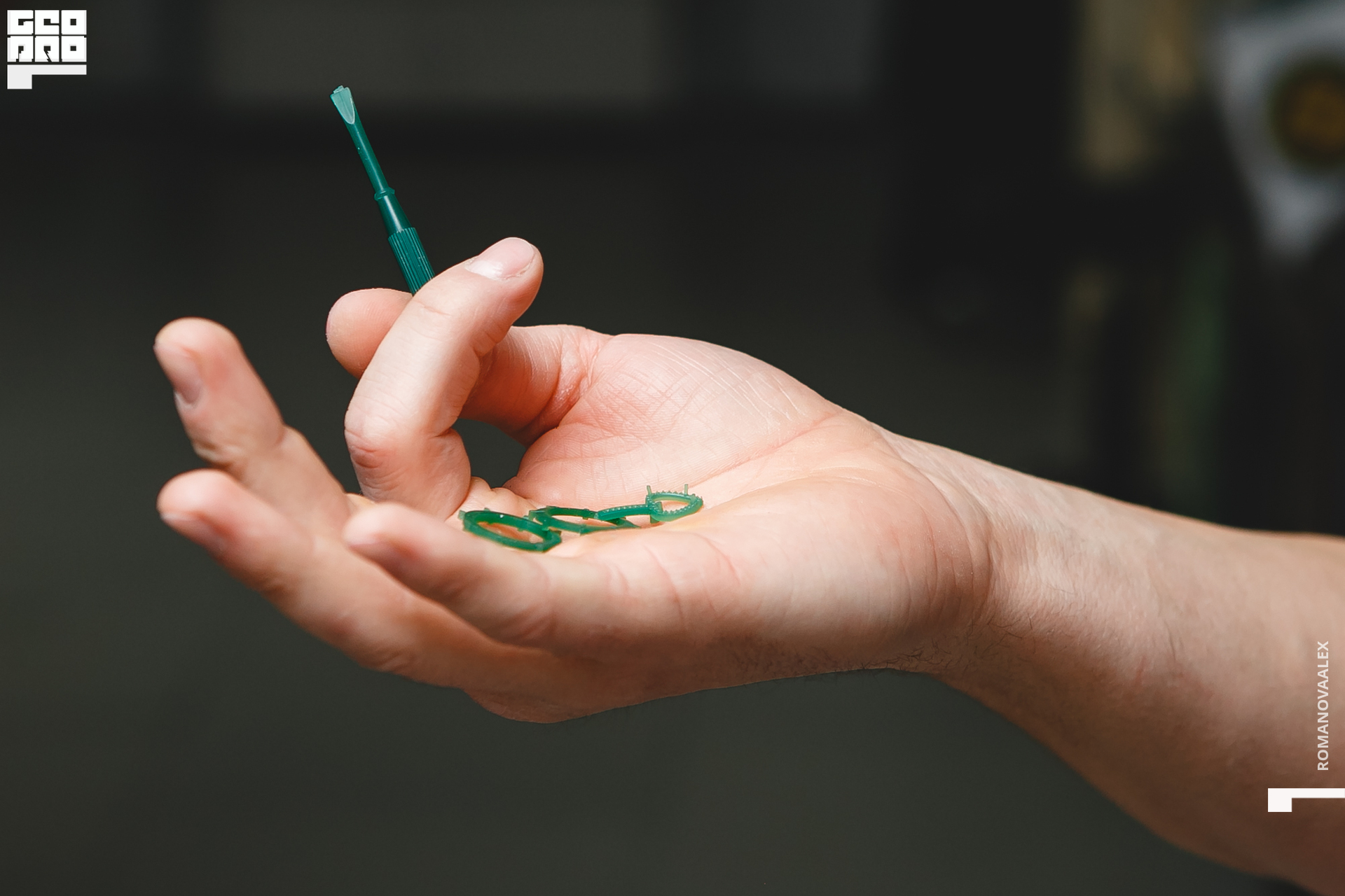 085201127 191240_Романова.jpg