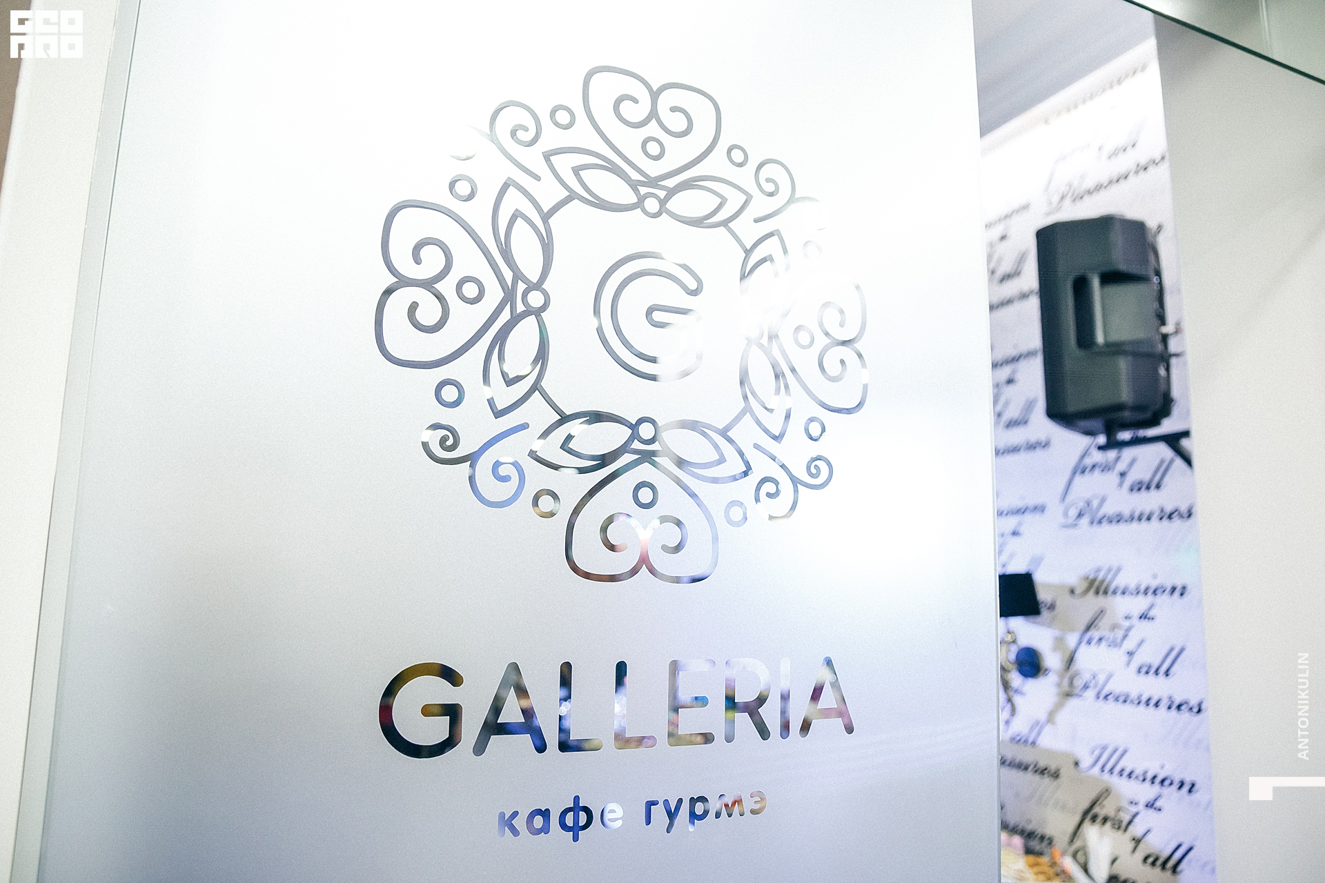 untitled shoot-6724.jpg