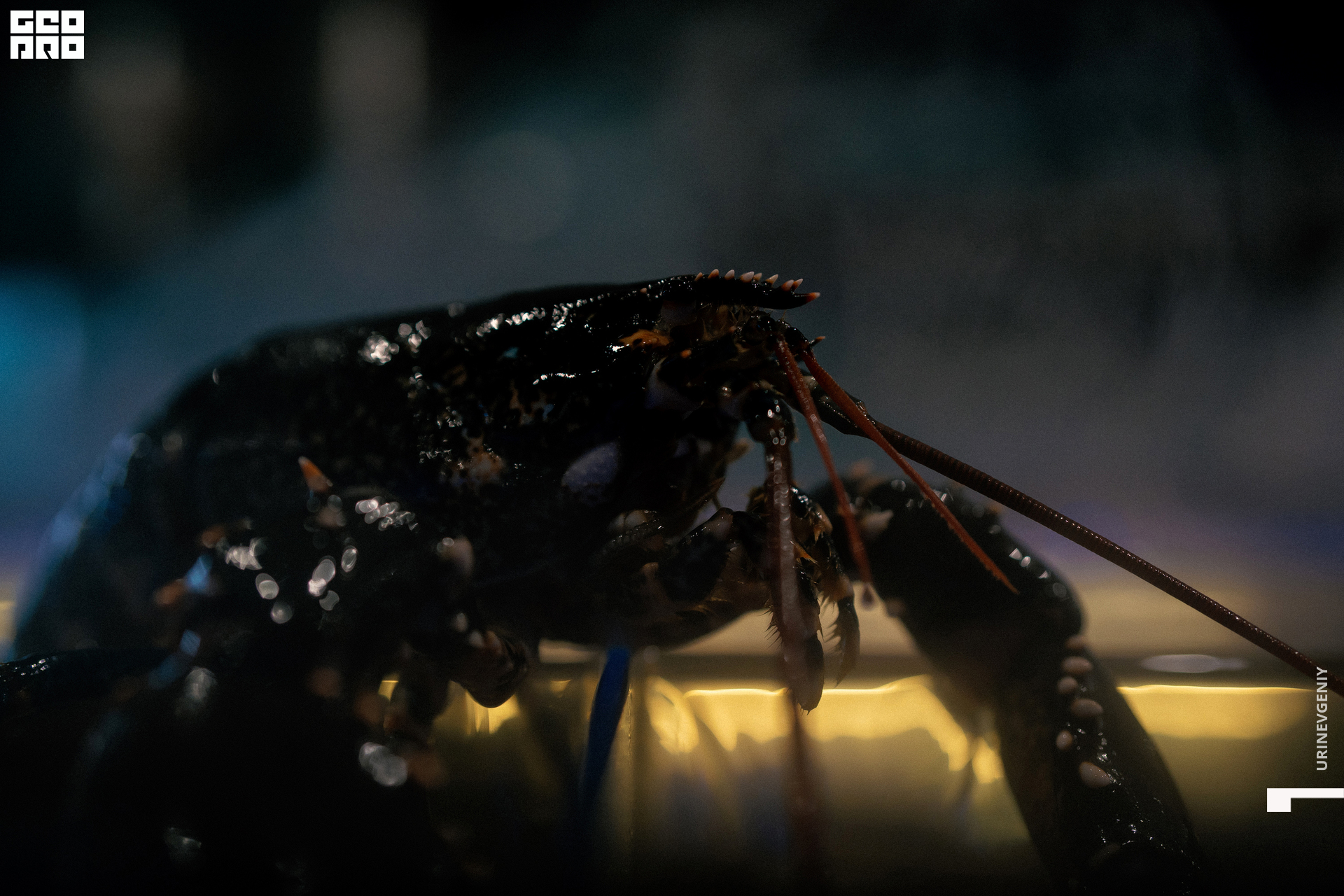 28.10.2021. Kraken (84).jpg