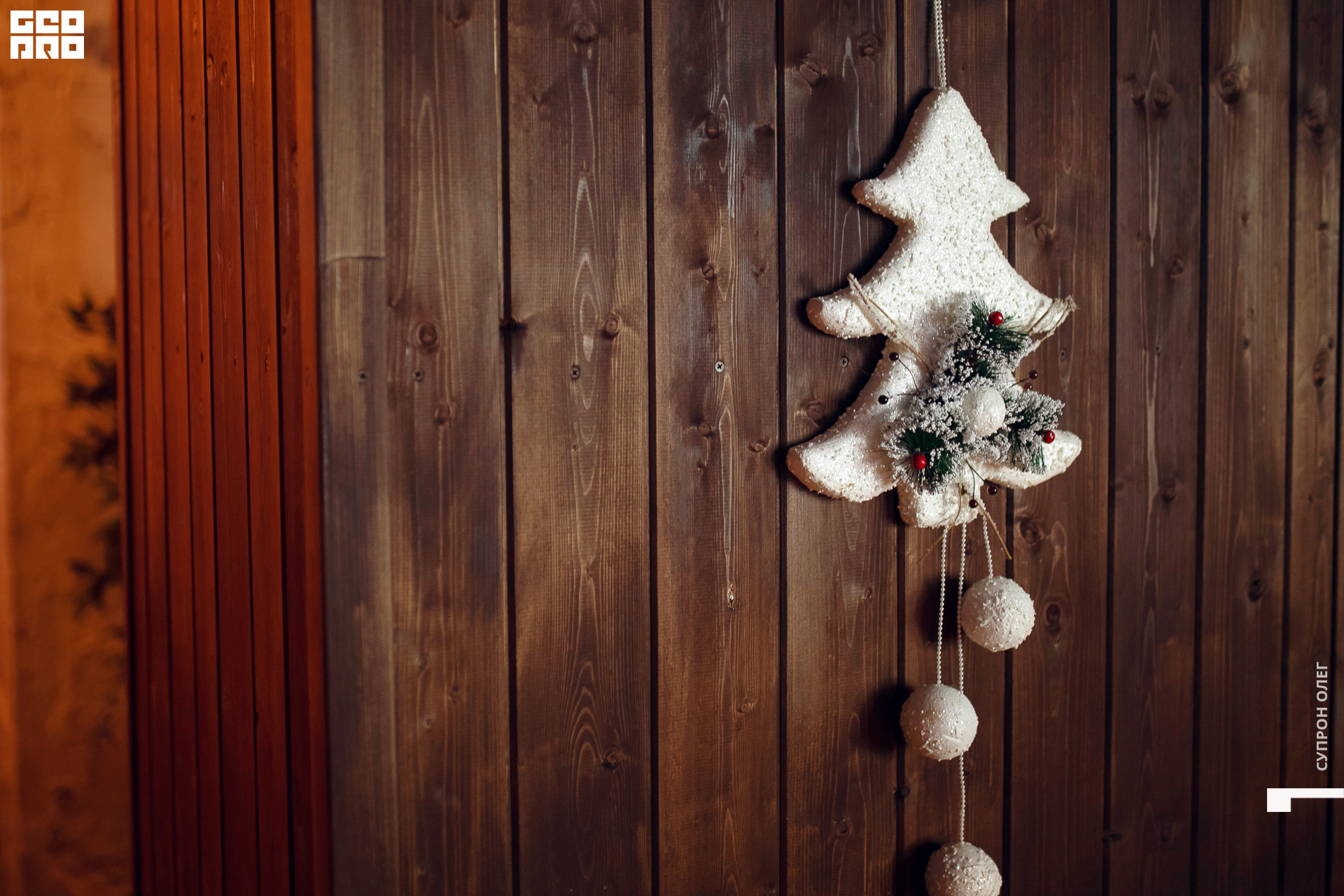 IMG_4236 копия.jpg