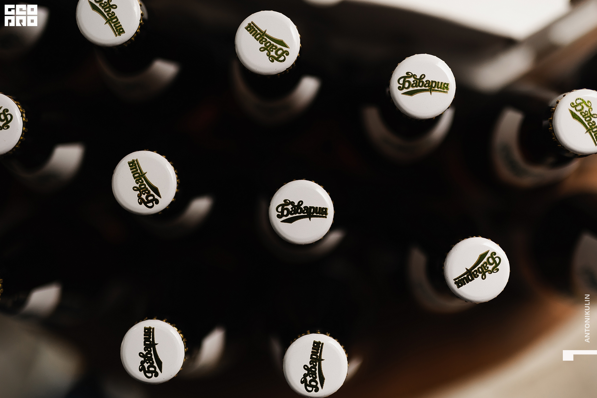 untitled shoot-3390.jpg