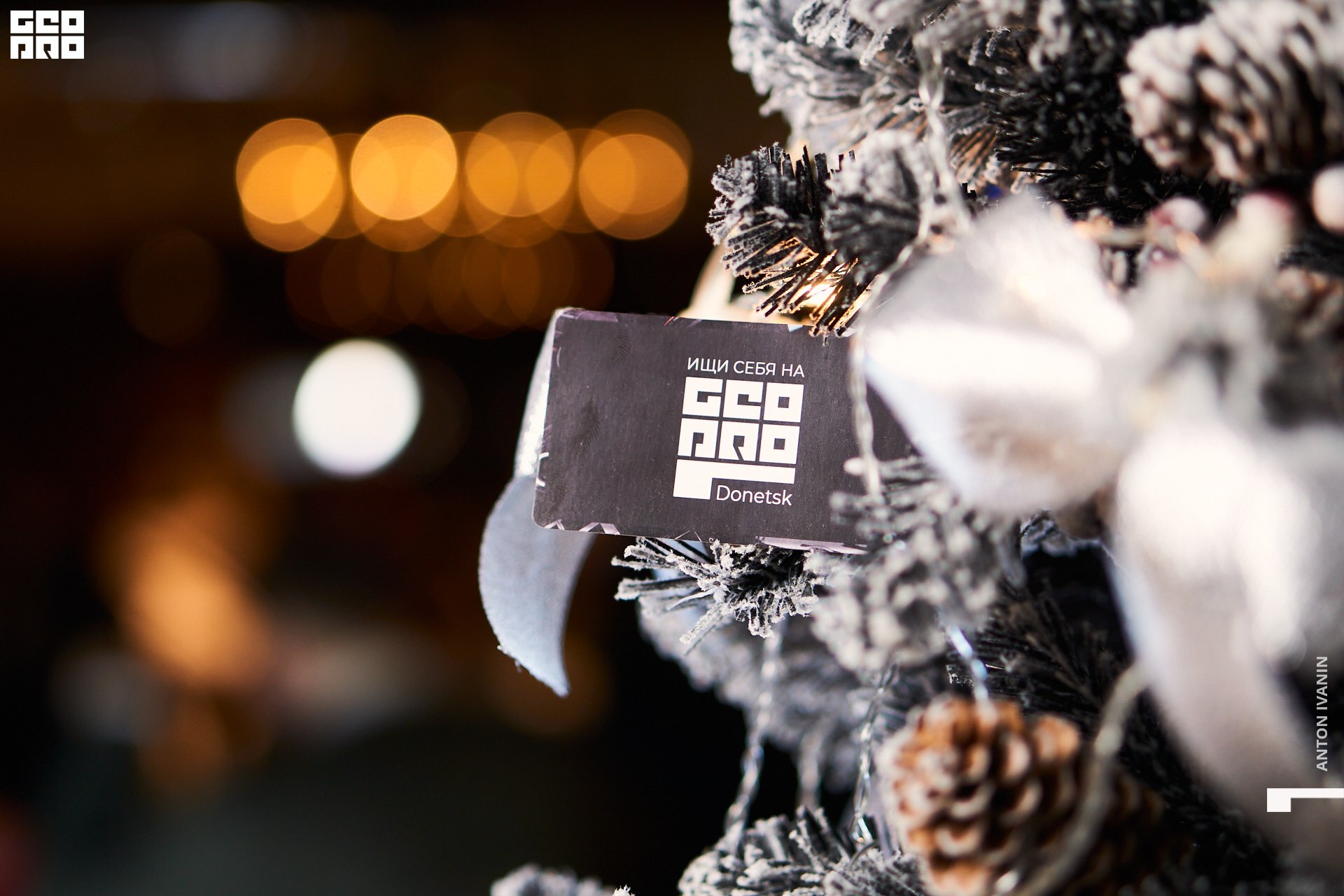 DSC06994 (Копировать).jpg