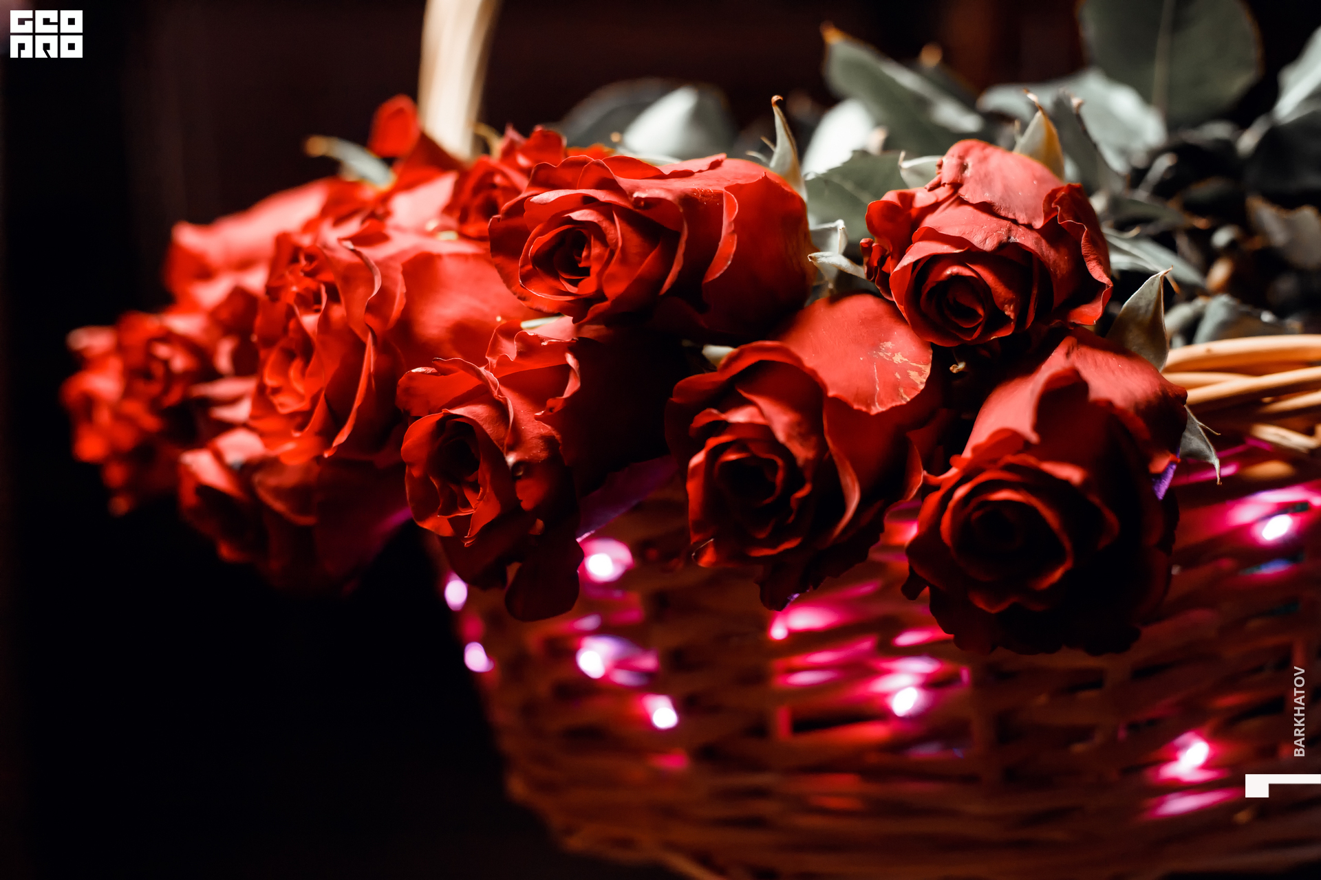 050 29.05.2021 @mibiyl.jpg