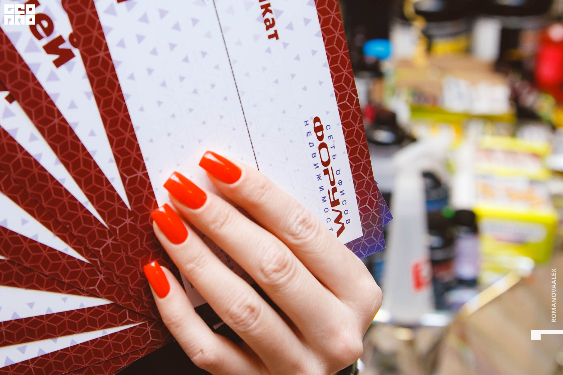 258 211127  101302 _ale_romanova.jpg