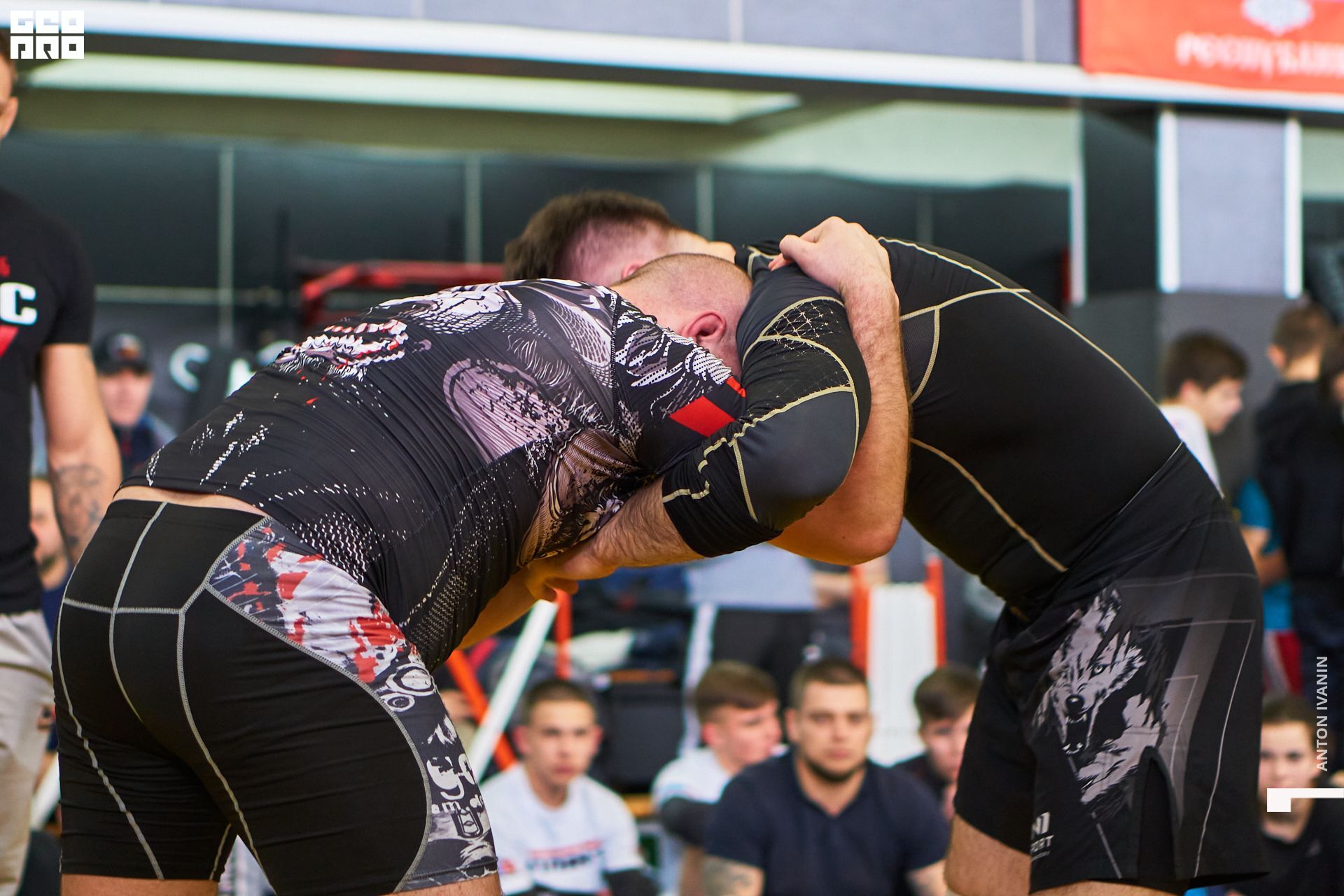 DSC09192 (Копировать).jpg