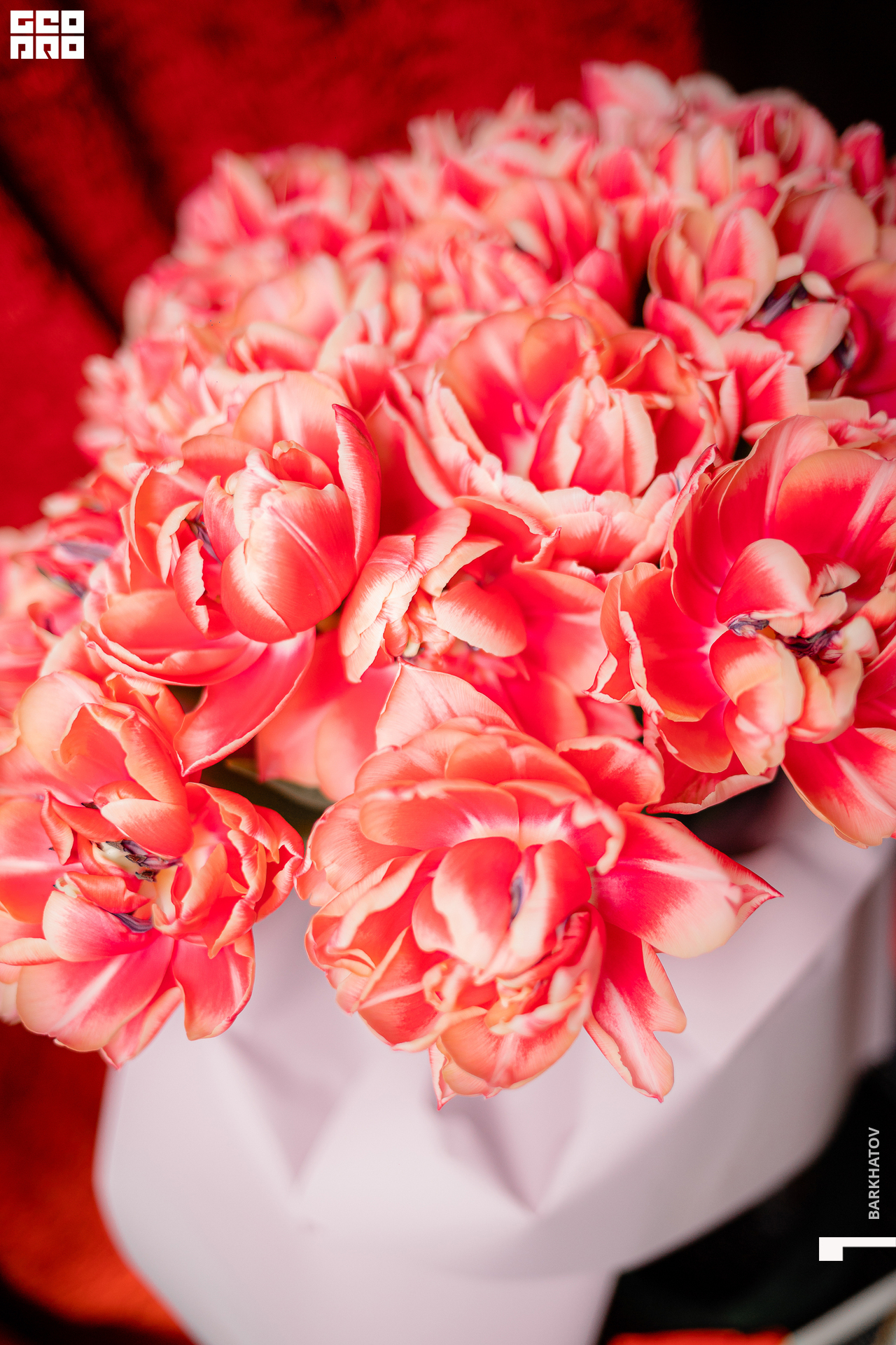 001-07-03-2021-20-59-7 ПЯТНИЦ - 2560.jpg