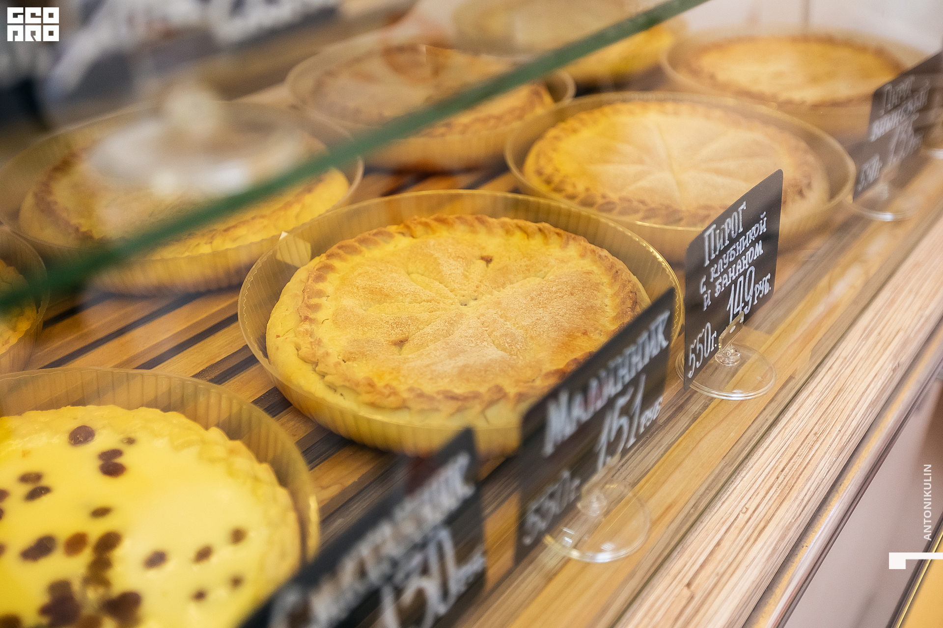 untitled shoot-9923.jpg