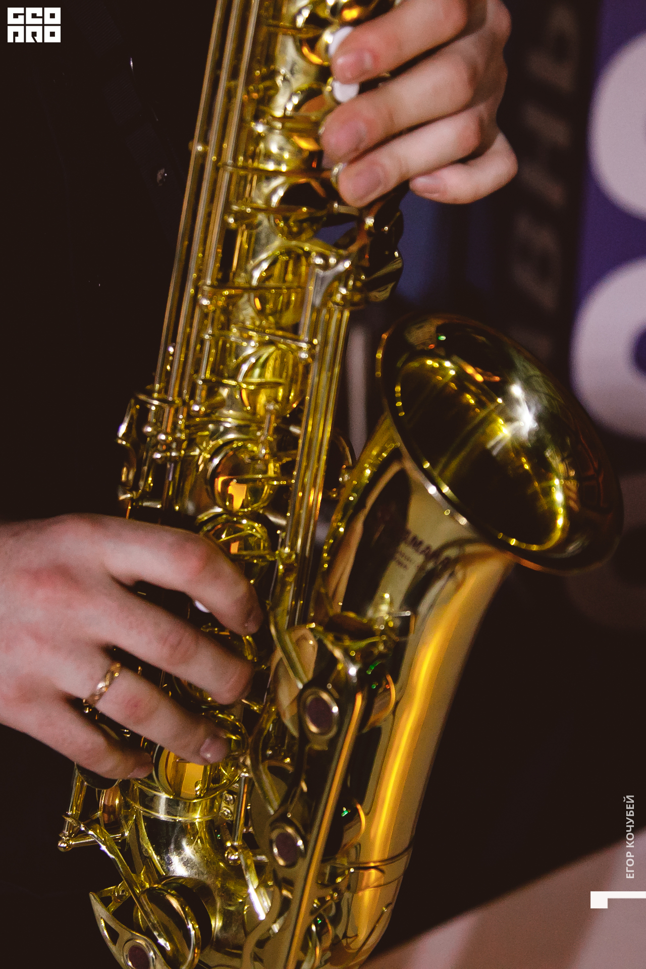 377   120422  230630 .jpg