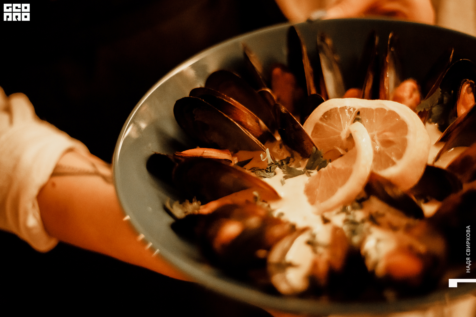 061_22-06-03 ISAEVA.jpg