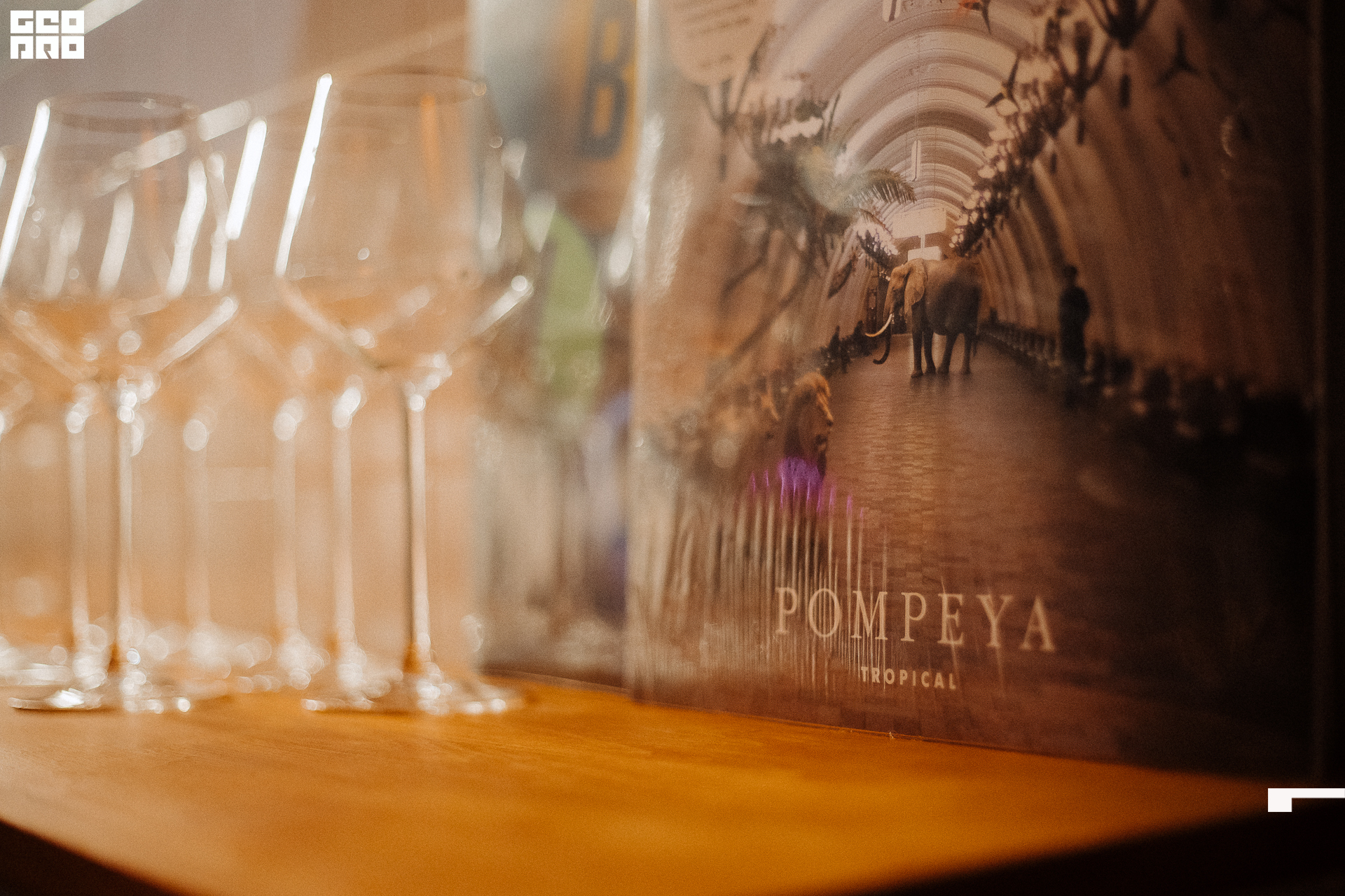 062_22-03-25 ISAEVA.jpg