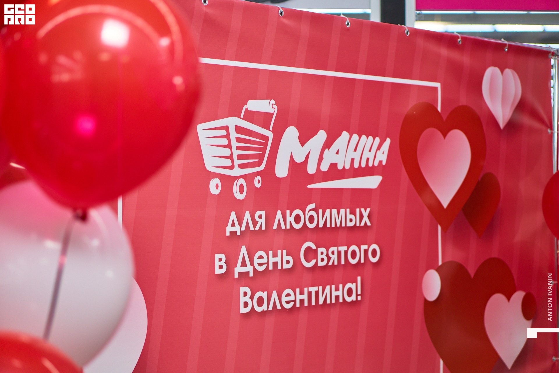 DSC08994 (Копировать).jpg