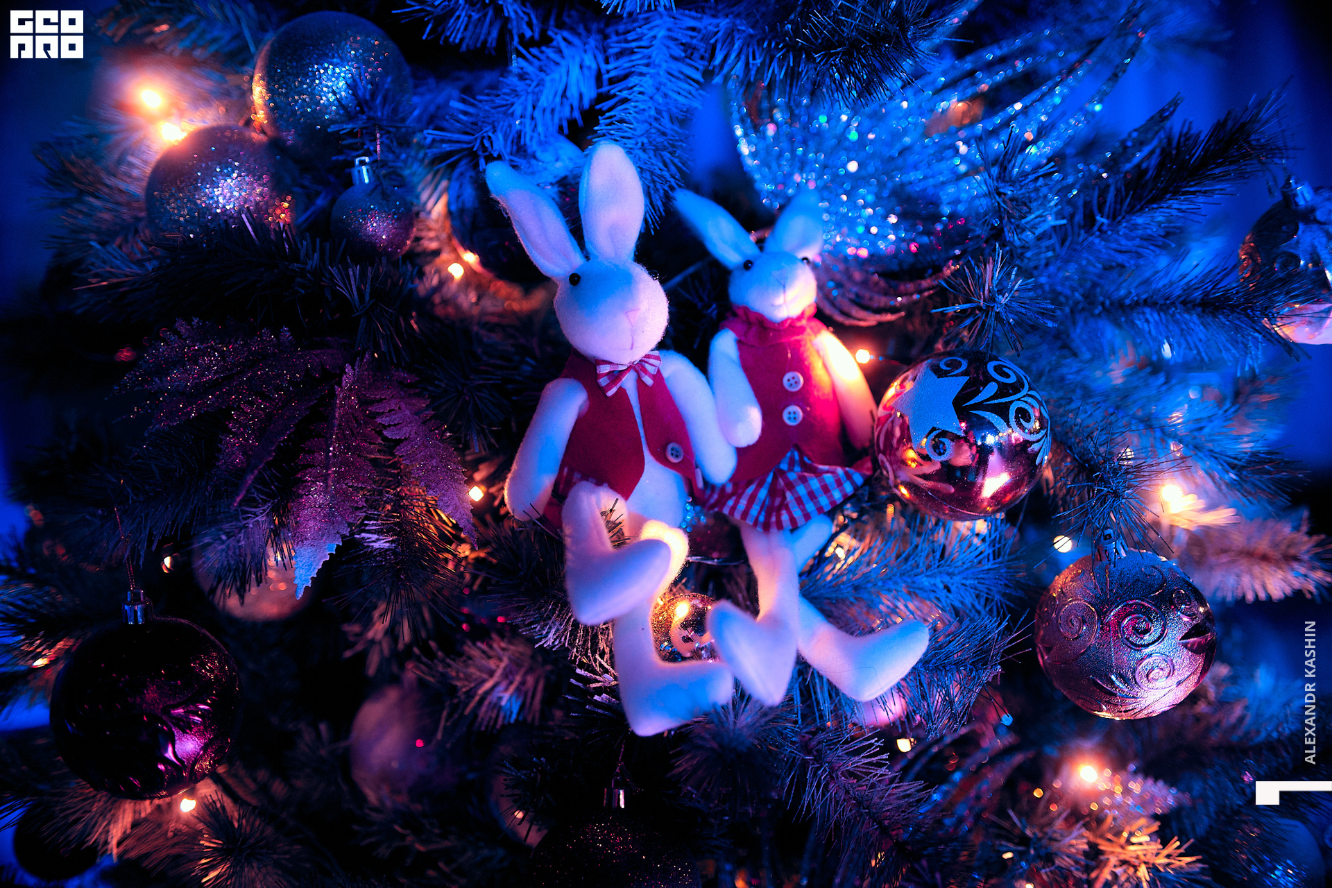 0061 22-12-24 021049 Kashin.jpg