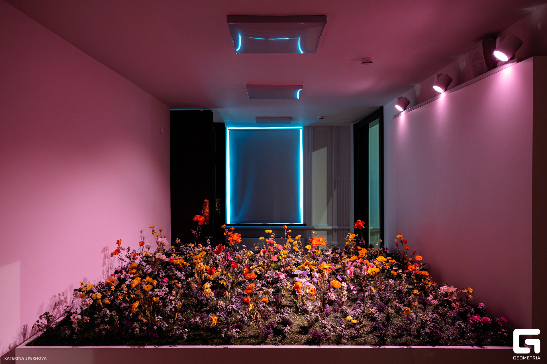 0J2A3012-Улучшено-Ум. шума.jpg