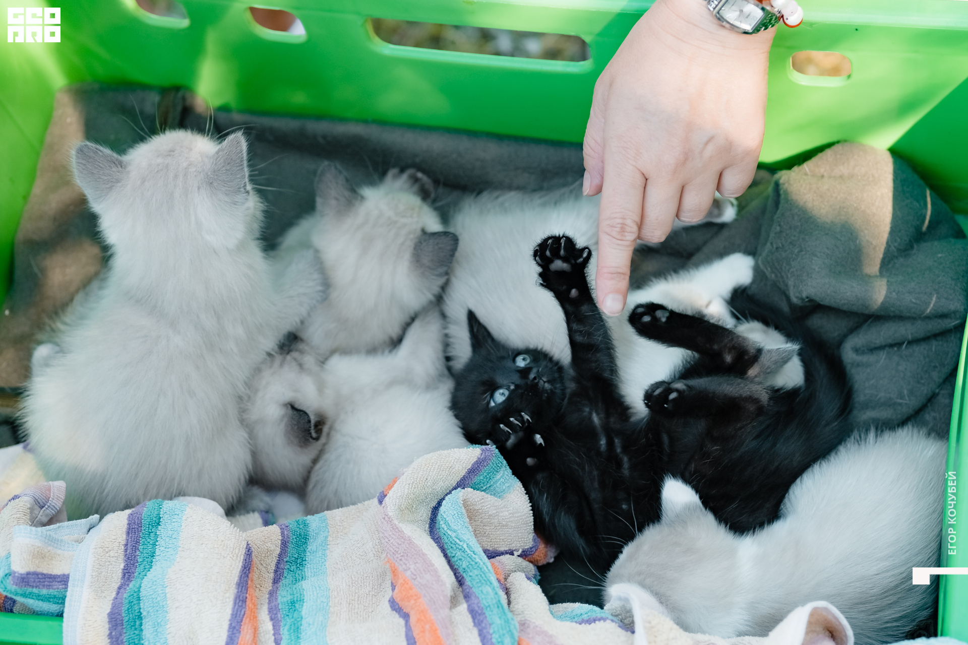 220813 Кочубей 214.jpg