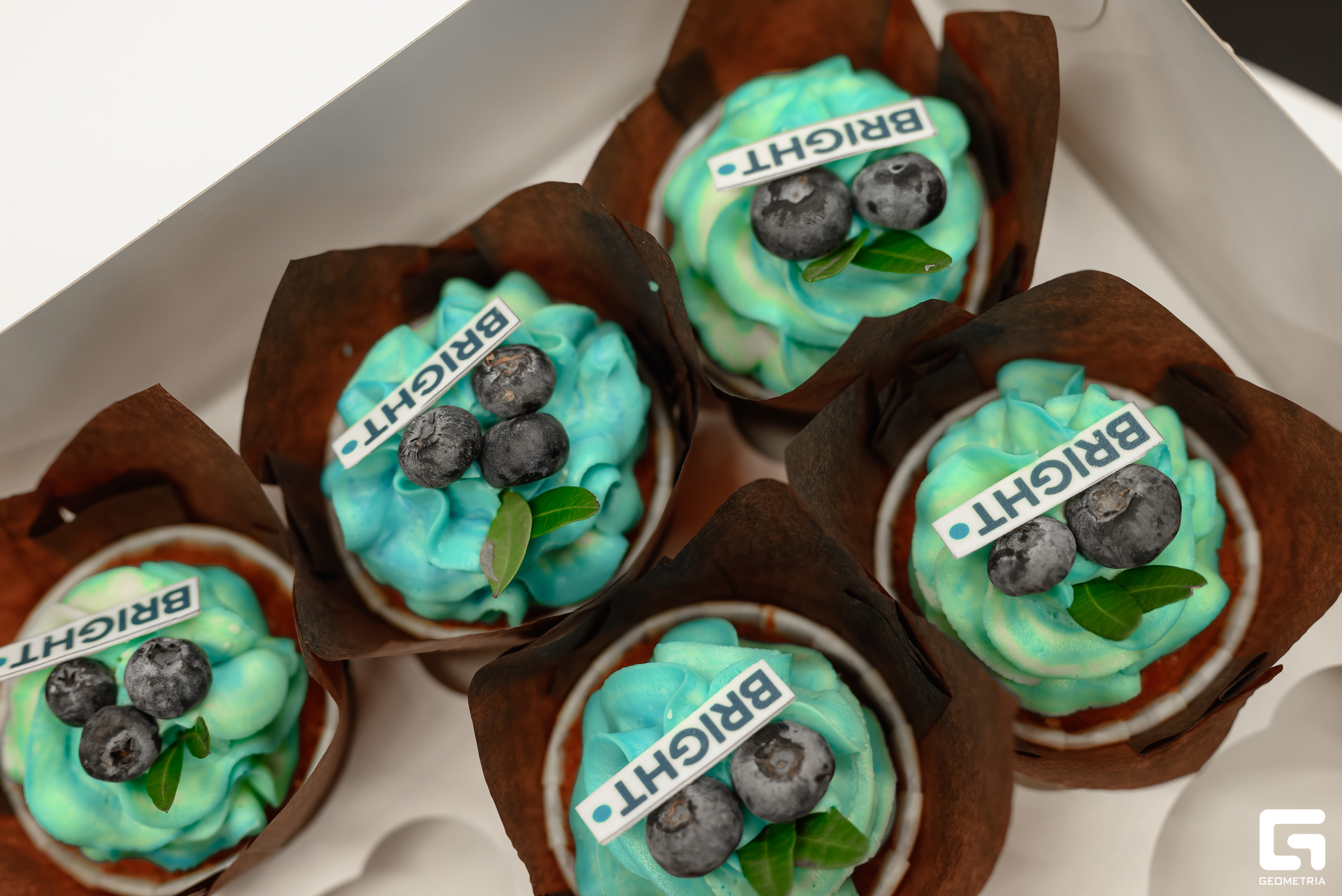 141 20231225 190158 ermakov.jpg