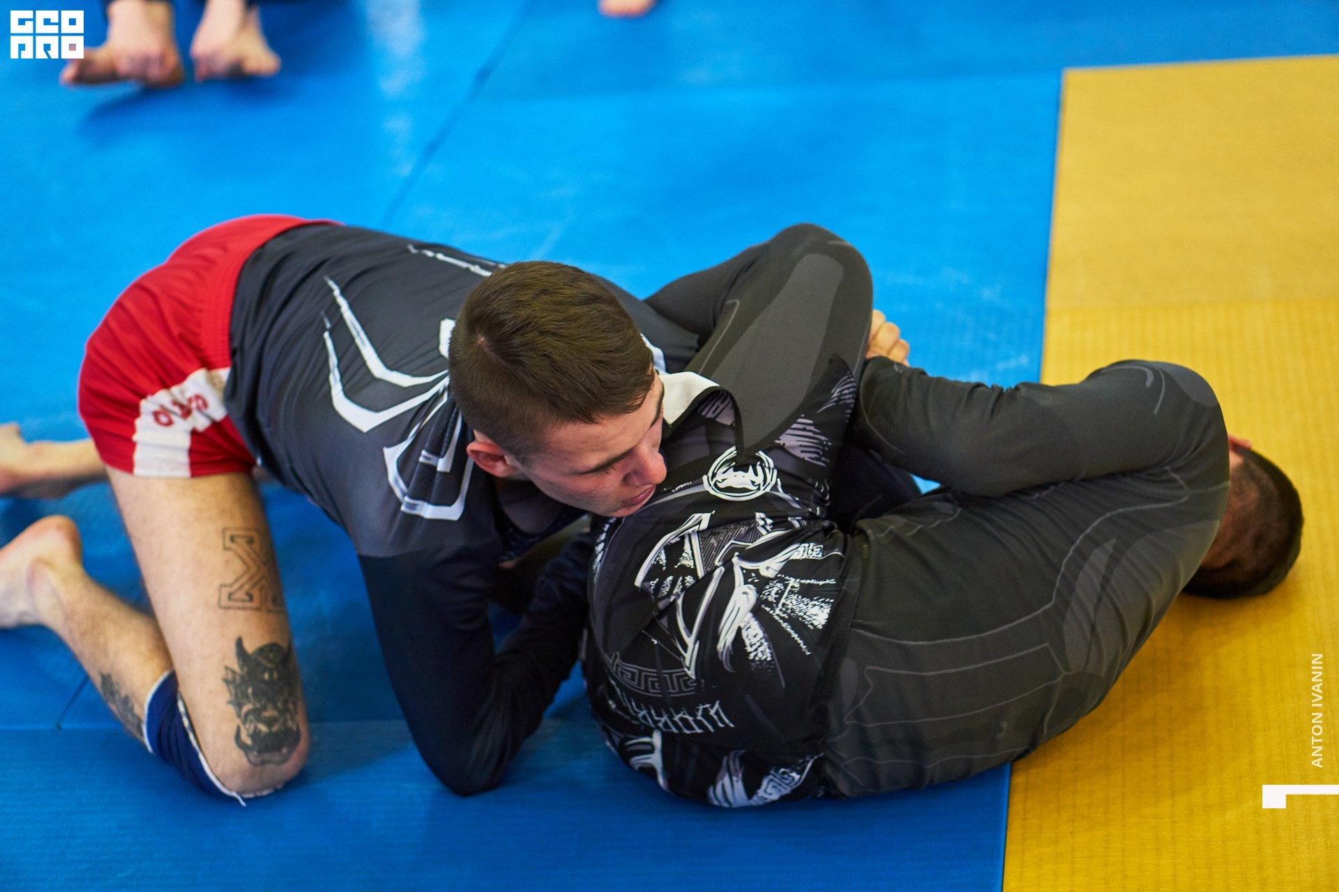 DSC09246 (Копировать).jpg