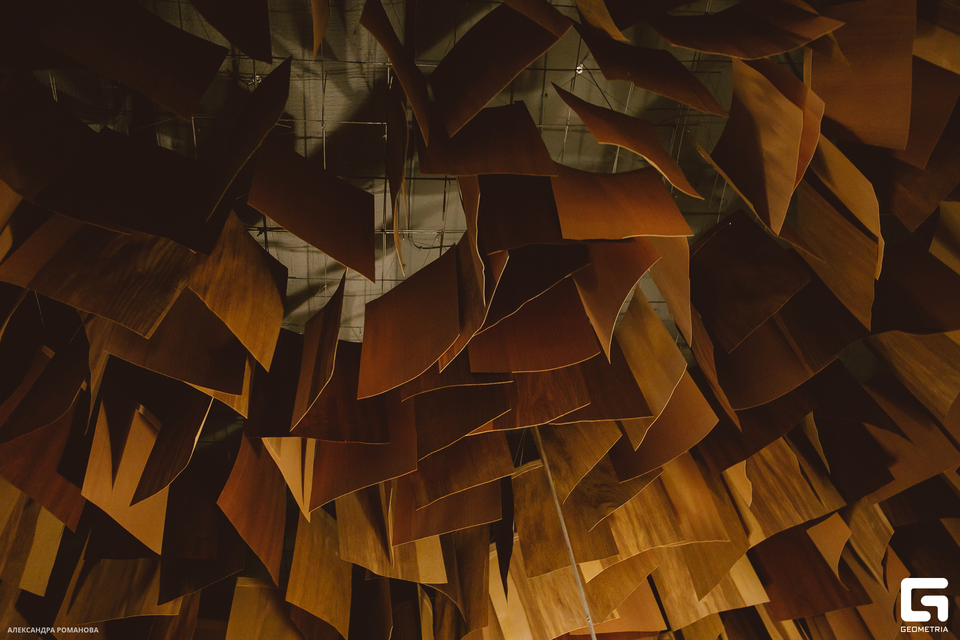 039   030723  200331 .jpg